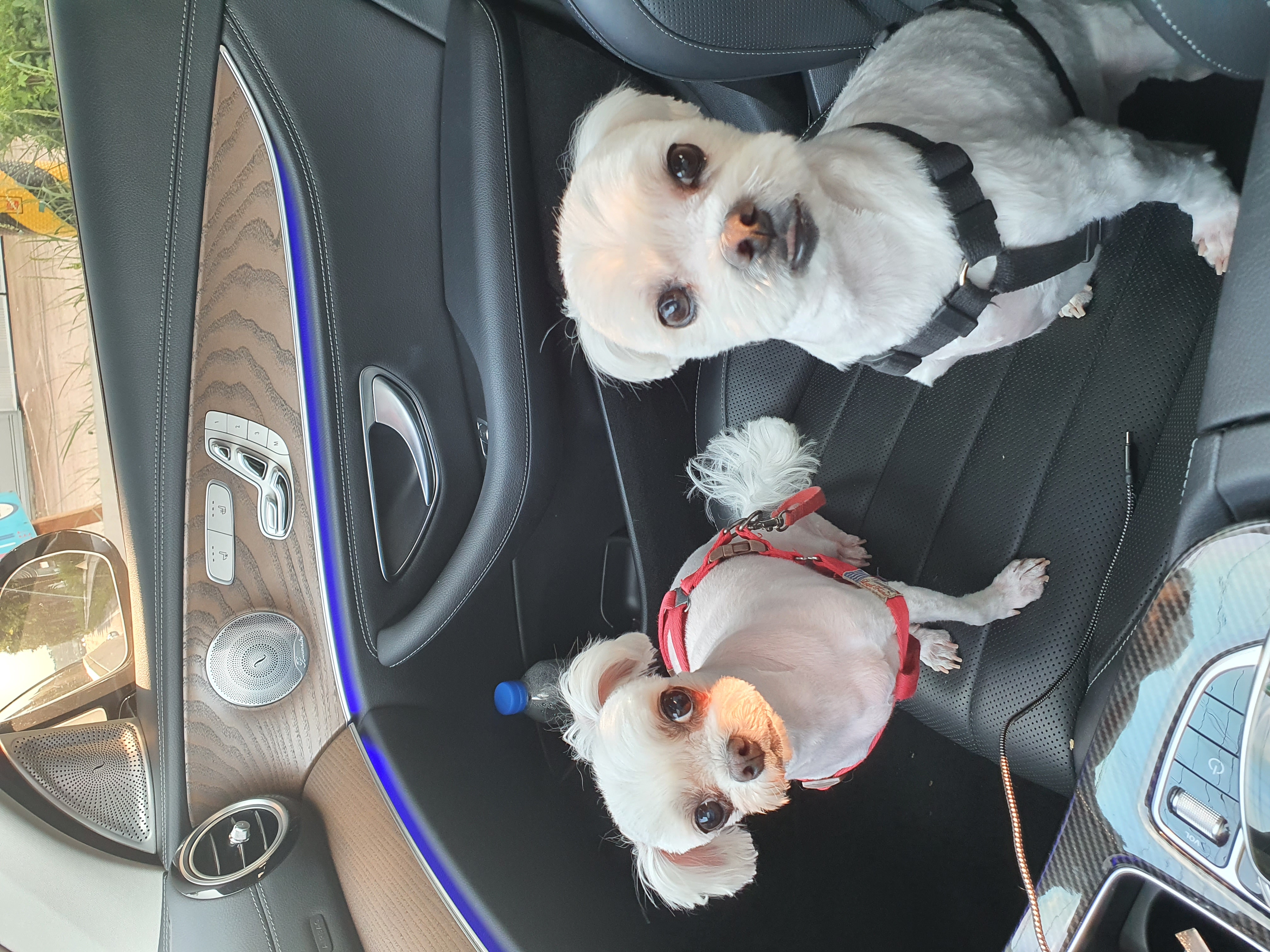 오랜만의 [젤리] 근황입니다