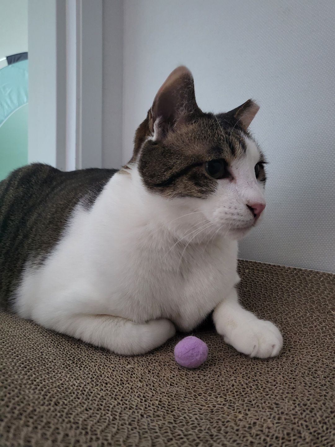 아띠와 1년이 !!!!엄청 빨리 지나갔어요~!!!