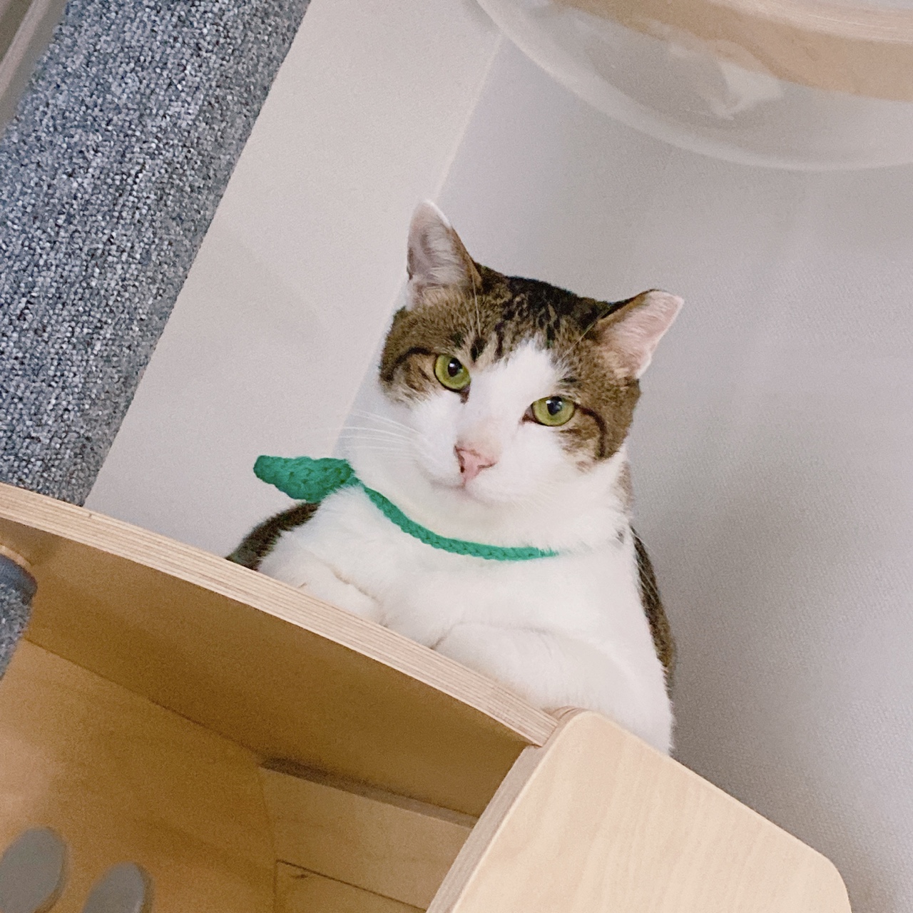 아띠와 1년이 !!!!엄청 빨리 지나갔어요~!!!