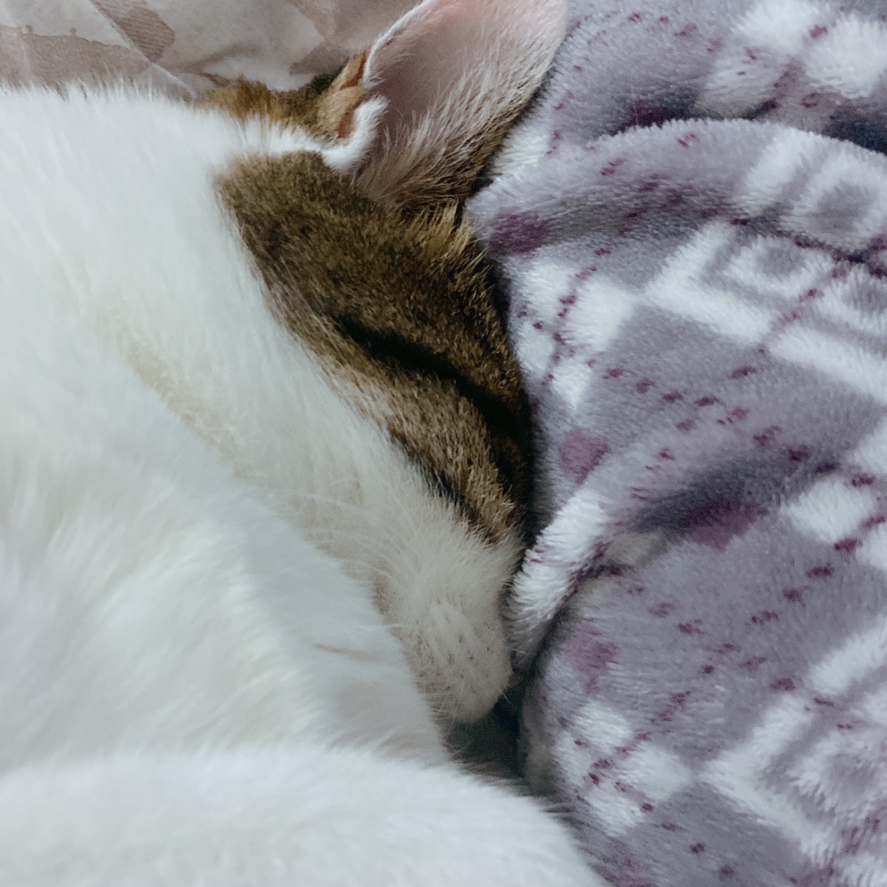 아띠와 1년이 !!!!엄청 빨리 지나갔어요~!!!