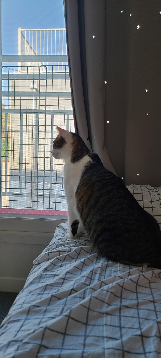 아띠와 1년이 !!!!엄청 빨리 지나갔어요~!!!