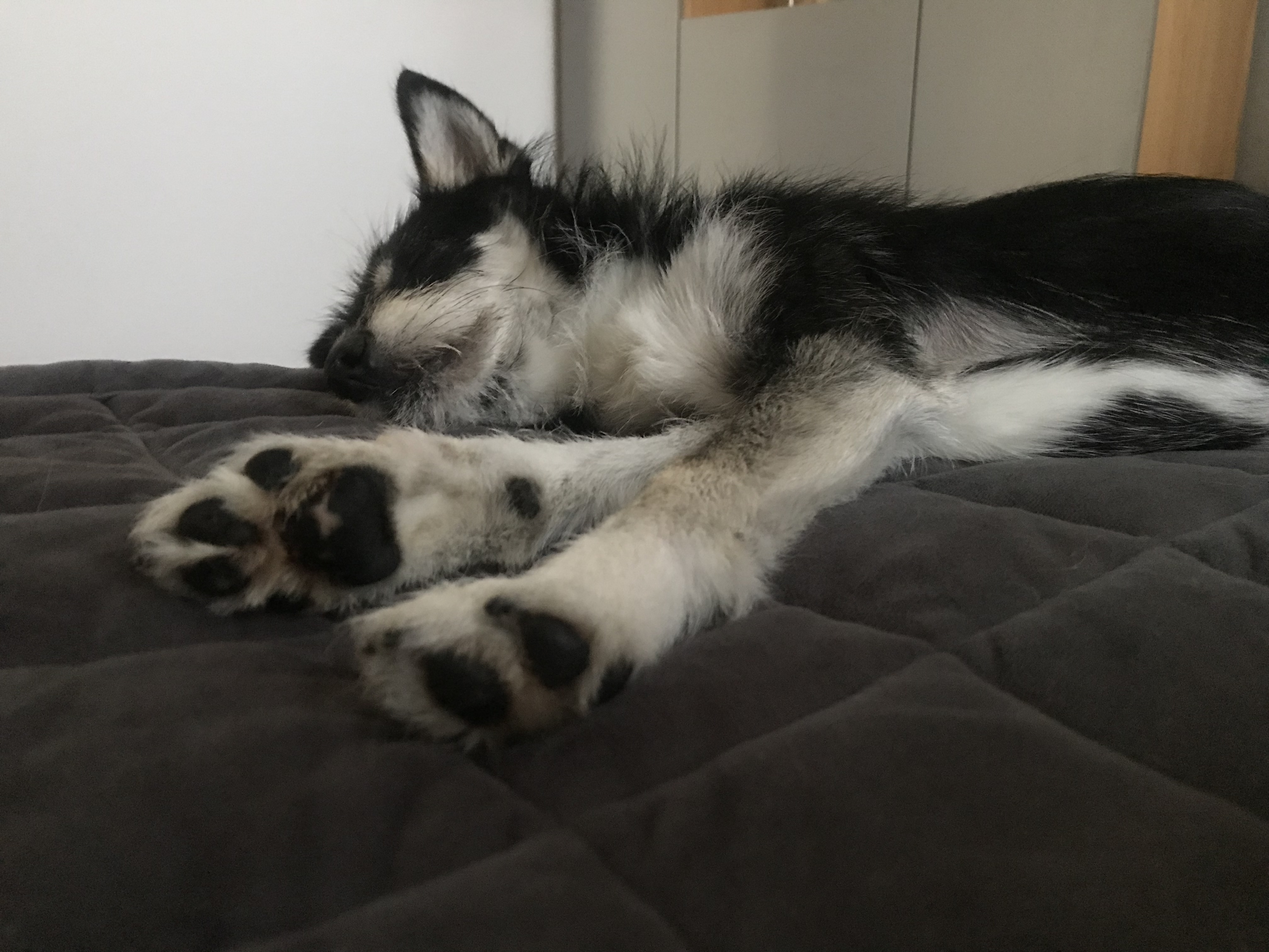 두송이 소식 전합니다!