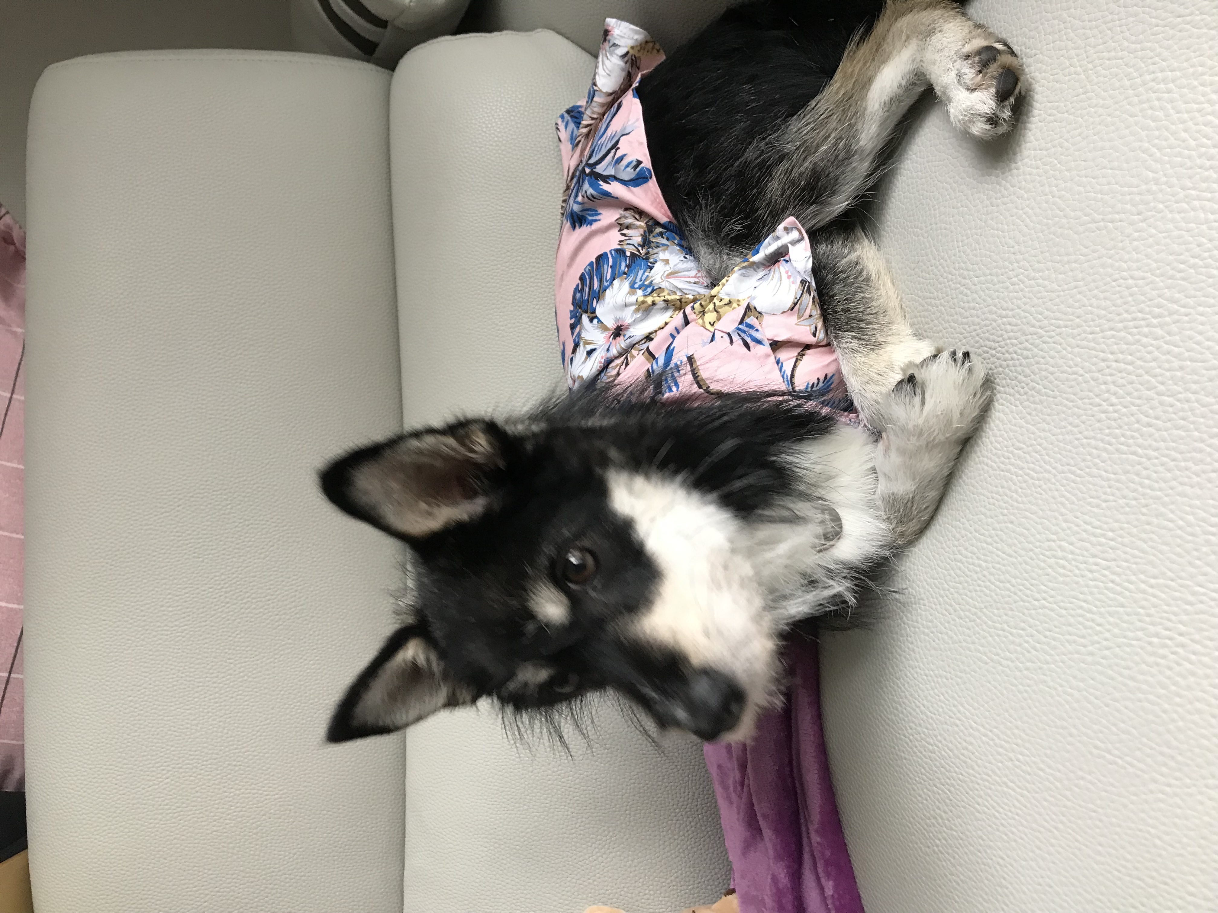 두송이 소식 전합니다!