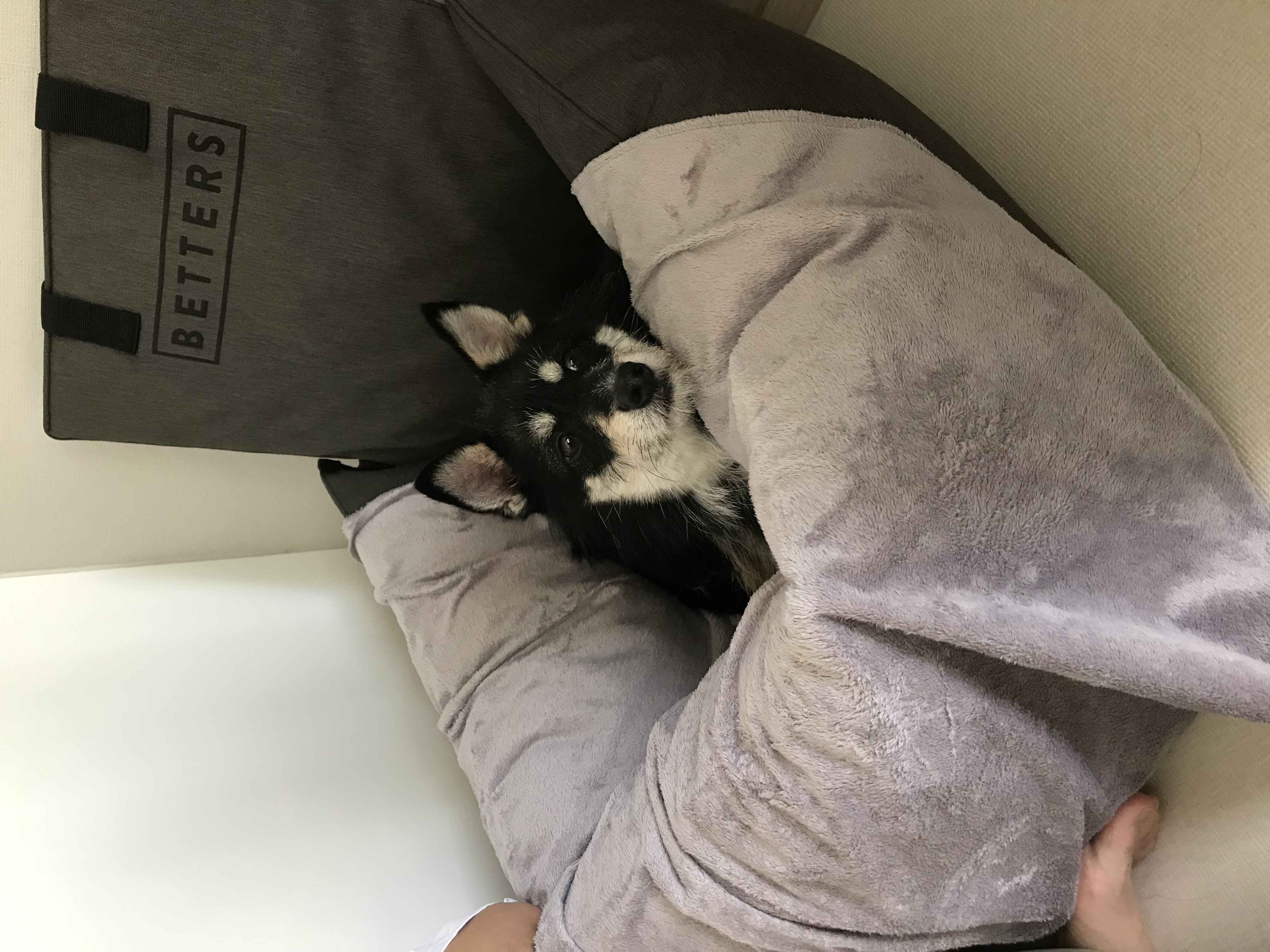 두송이 소식 전합니다!