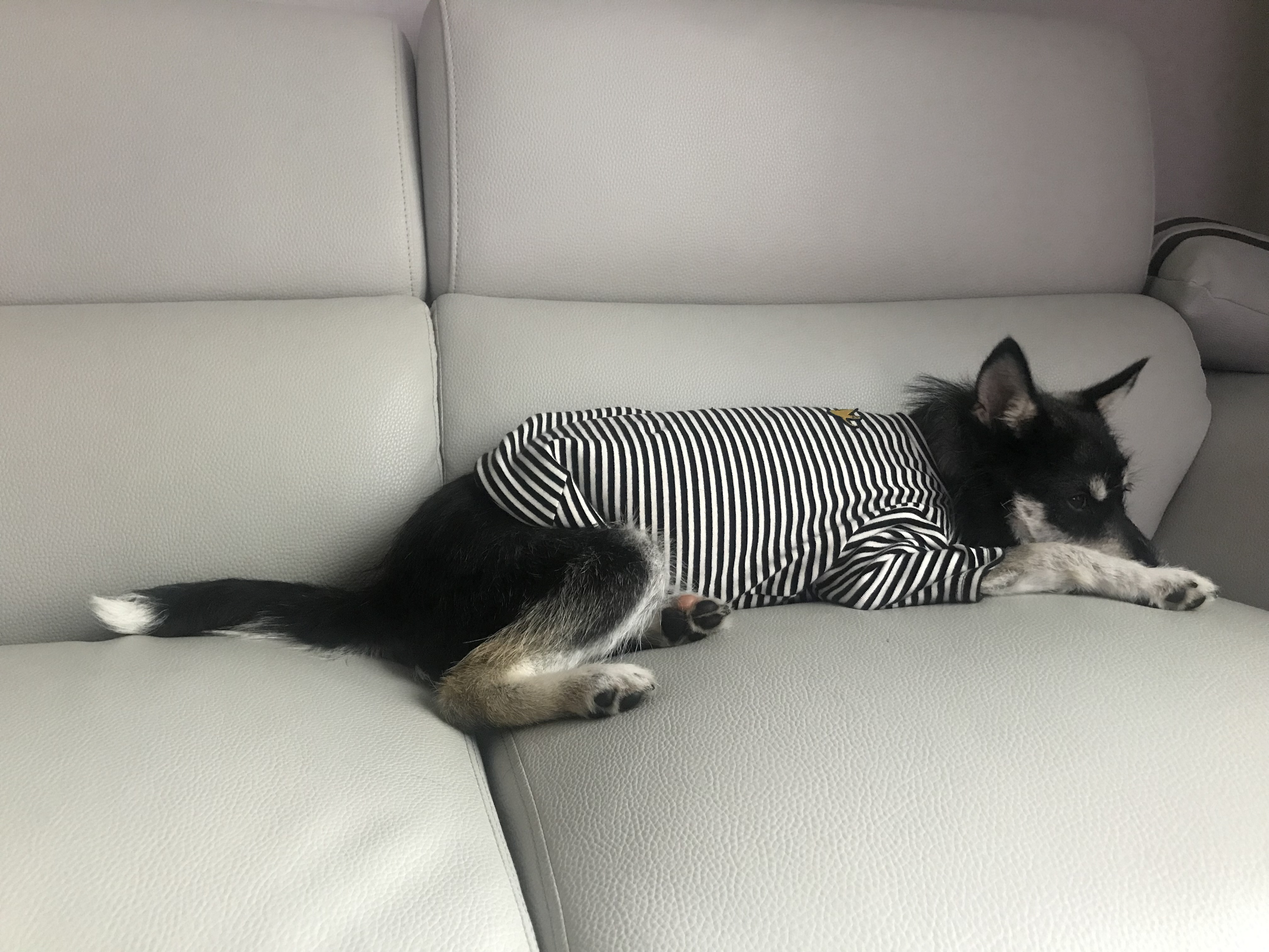 두송이 소식 전합니다!