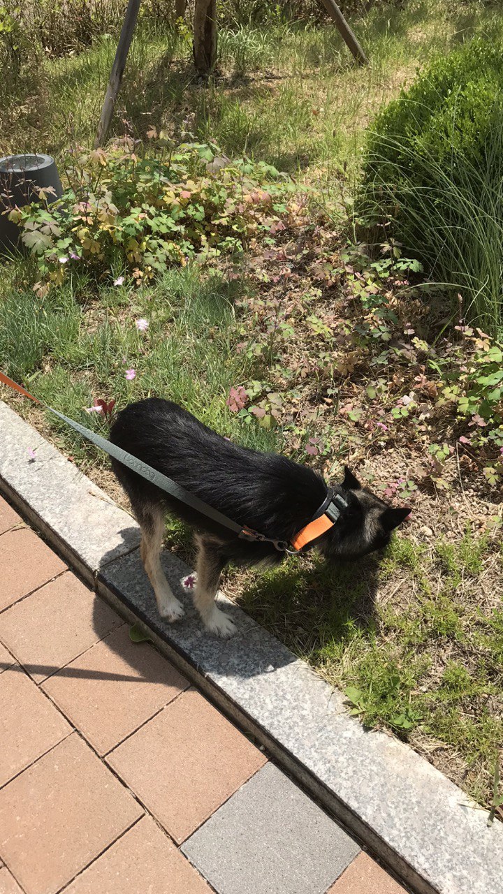 두송이와 함께 한달!