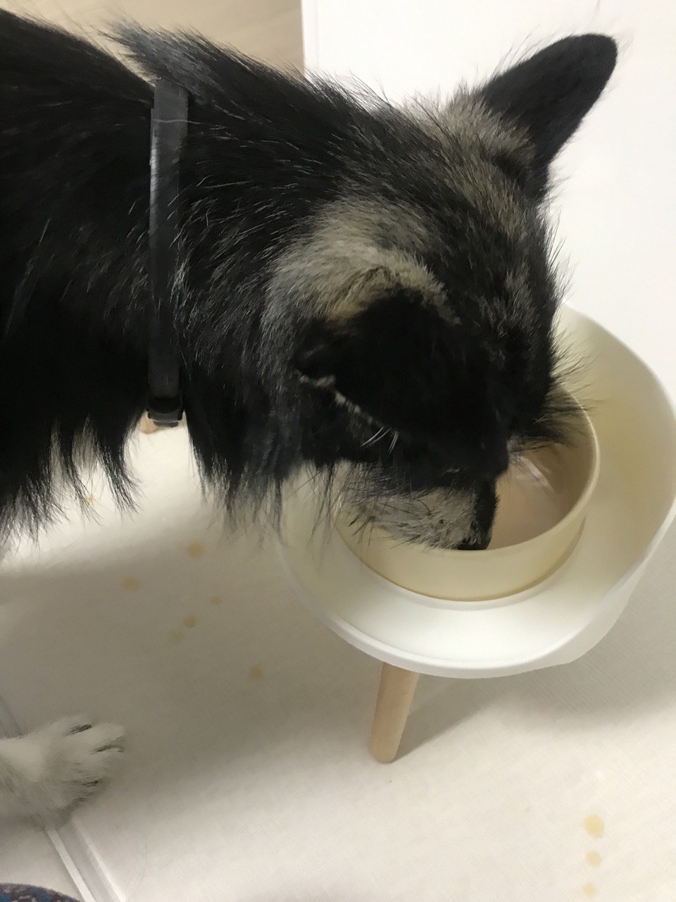 두송이와 함께 한달!