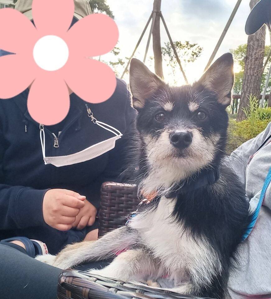 두송이와 함께 한달!