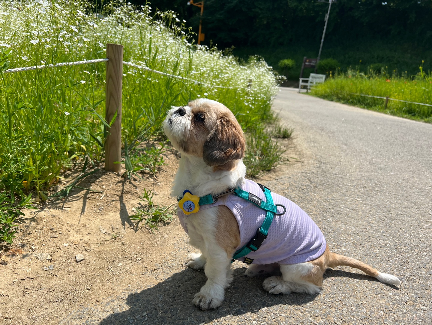 천진이와 112일째