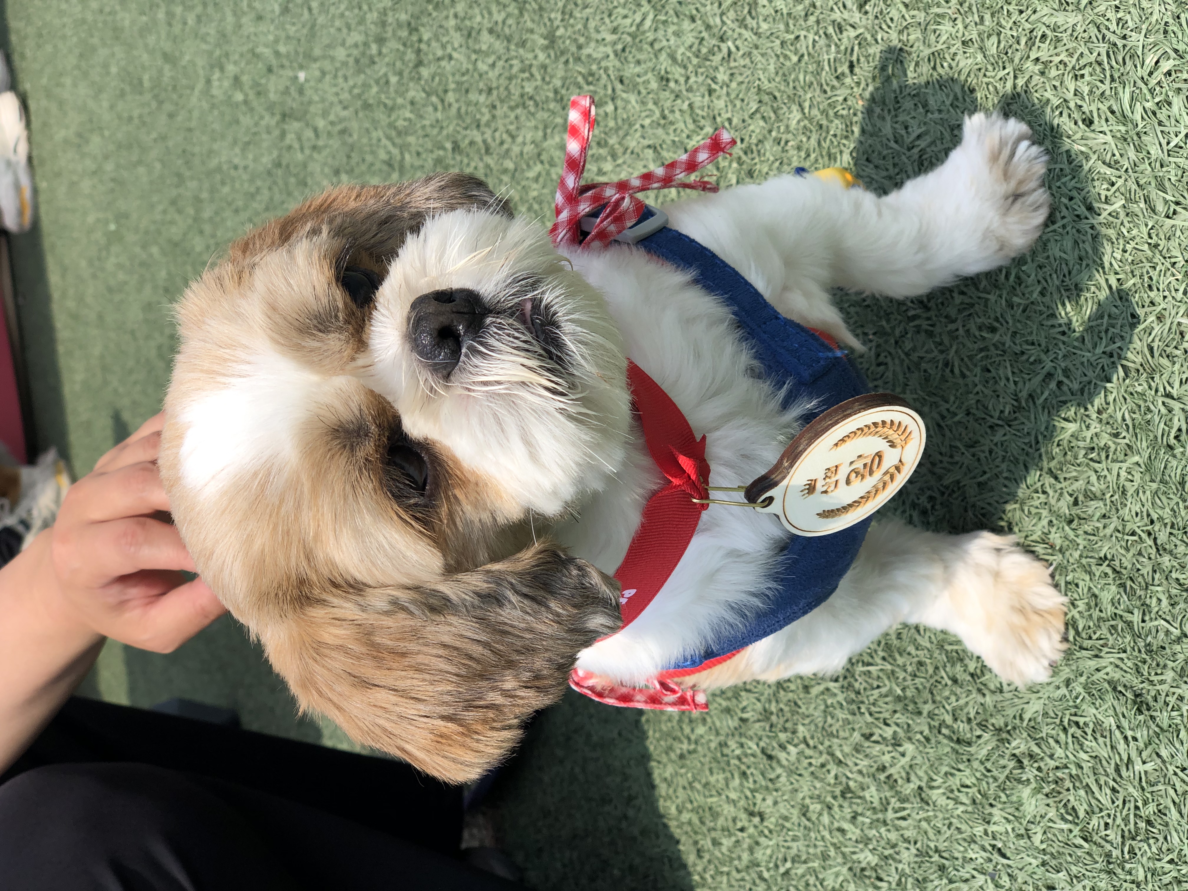 천진이와 112일째