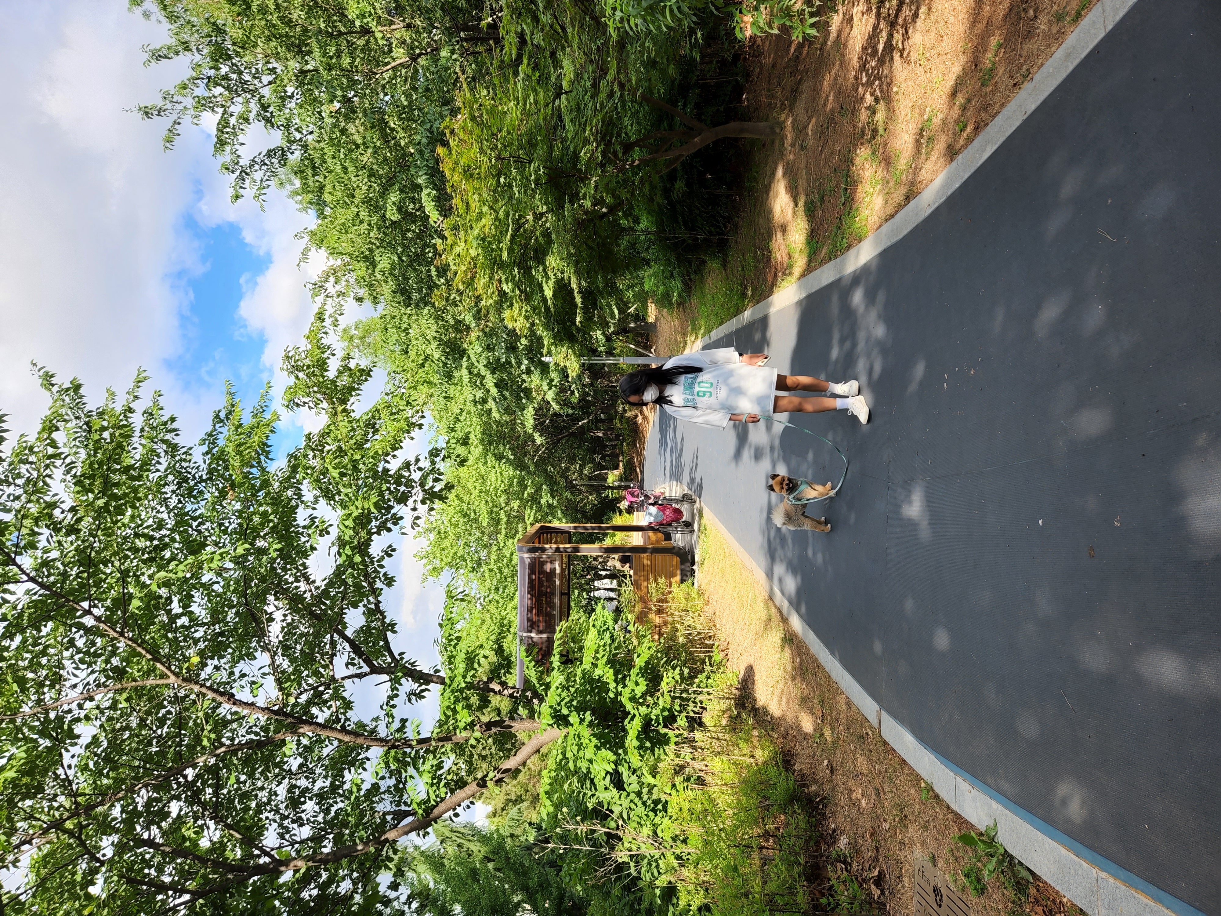 라쿤이 입양 1년