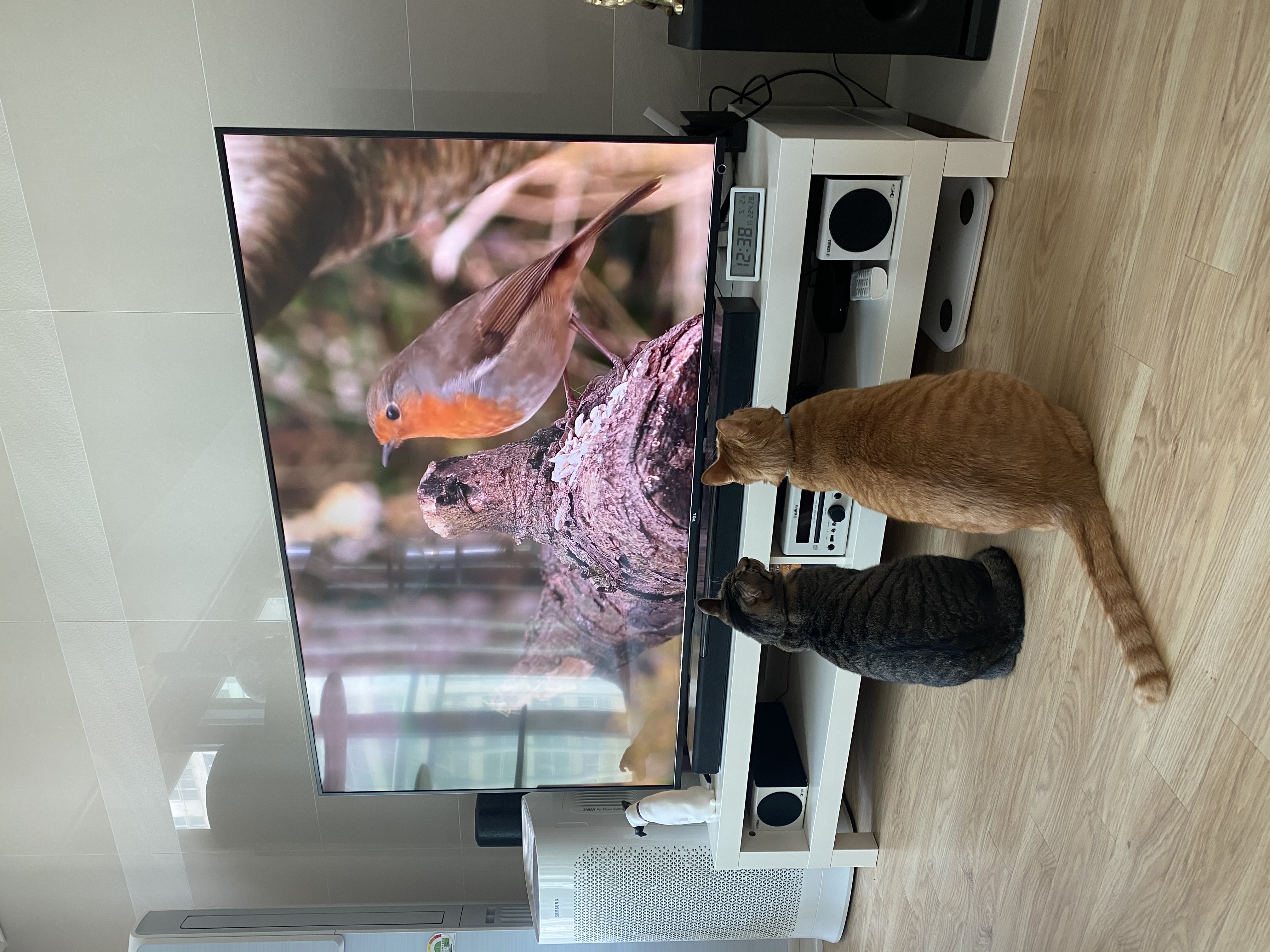 복동(야옹) & 깨비(나폴레옹) 잘 지내고 있습니다~!