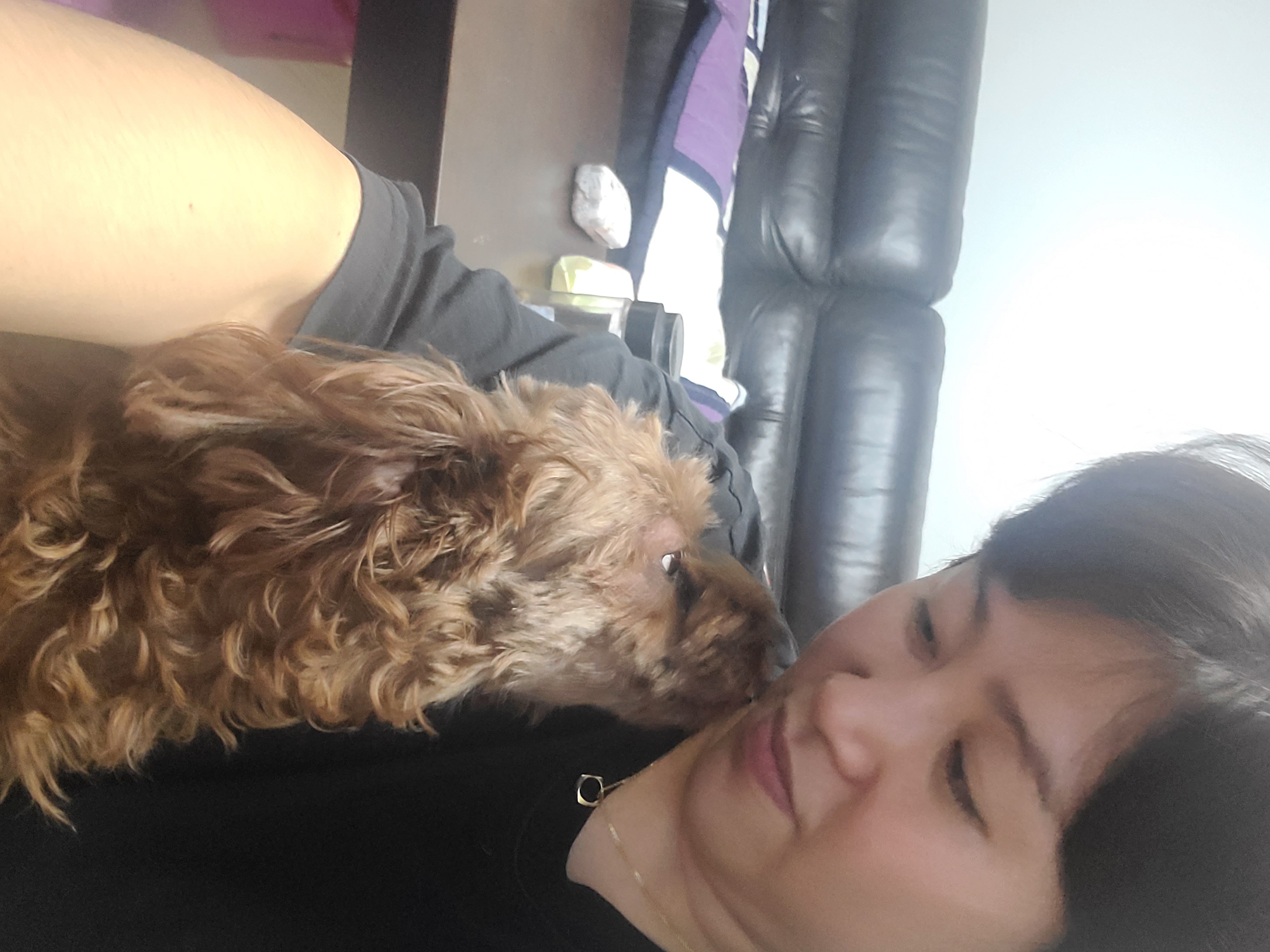 코아 입양 4년후기입니다