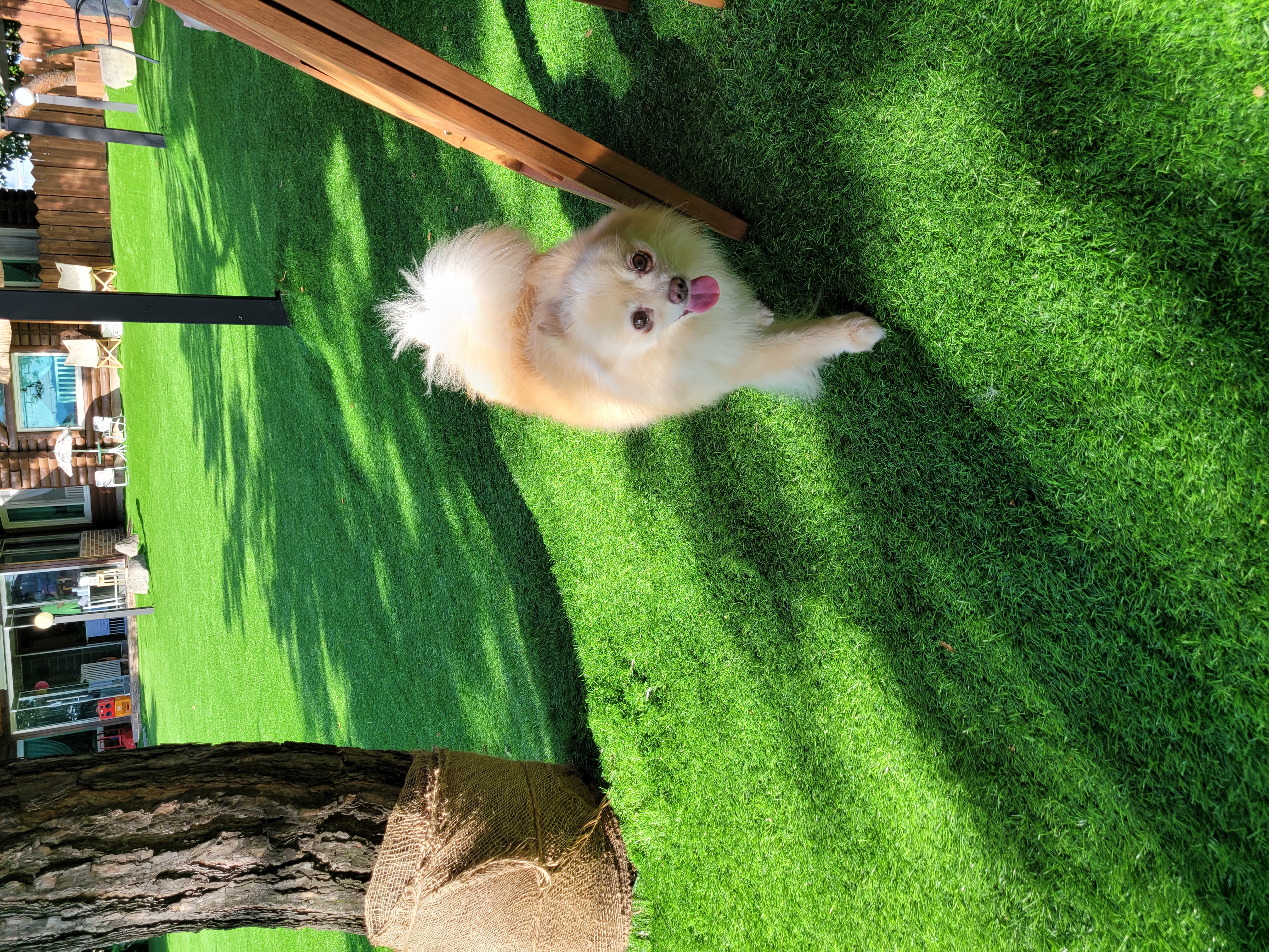 꼭지 까꿍이와 나들이