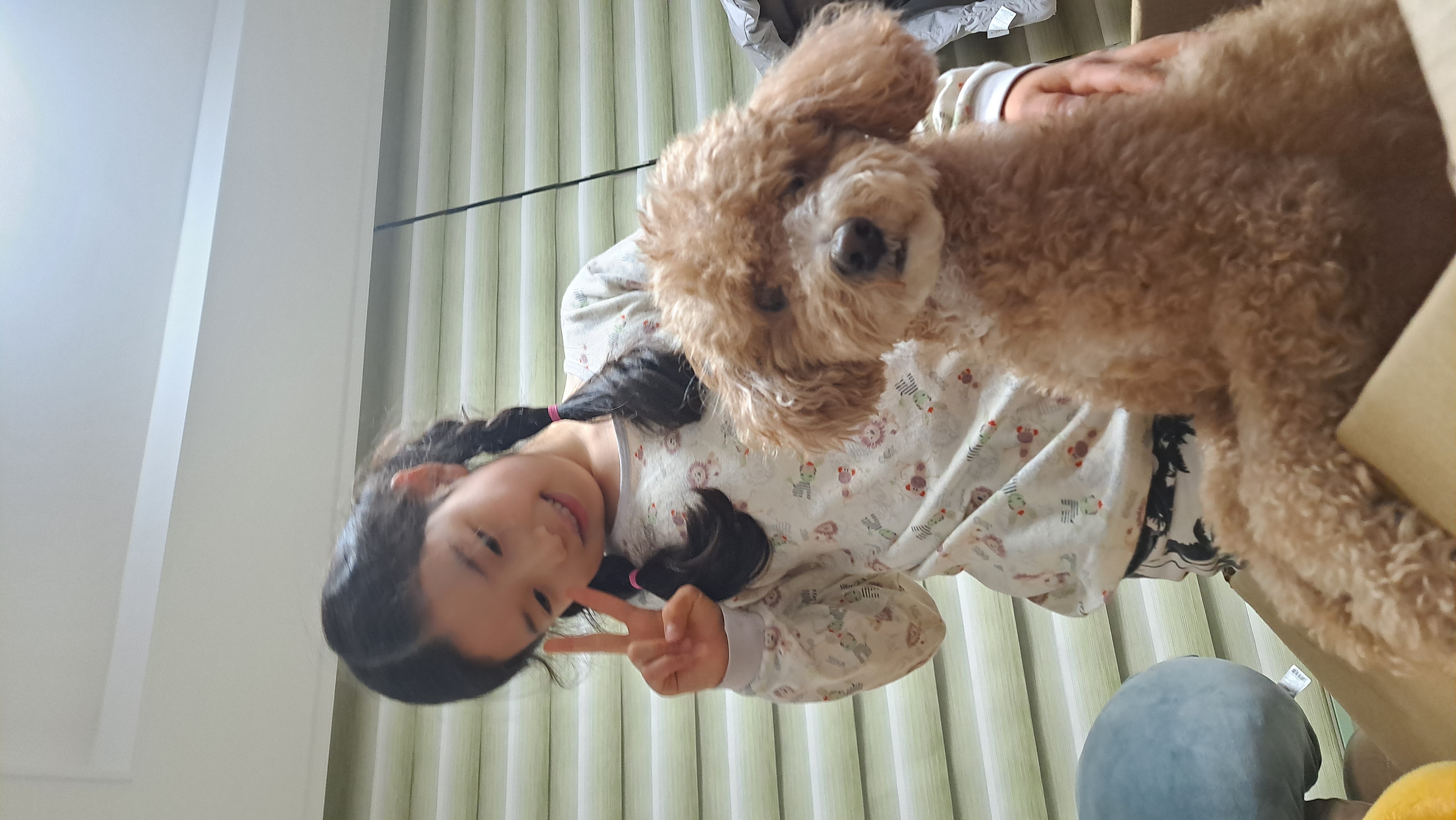 토토입양후기( 예전이름 승지옜던거같아요)