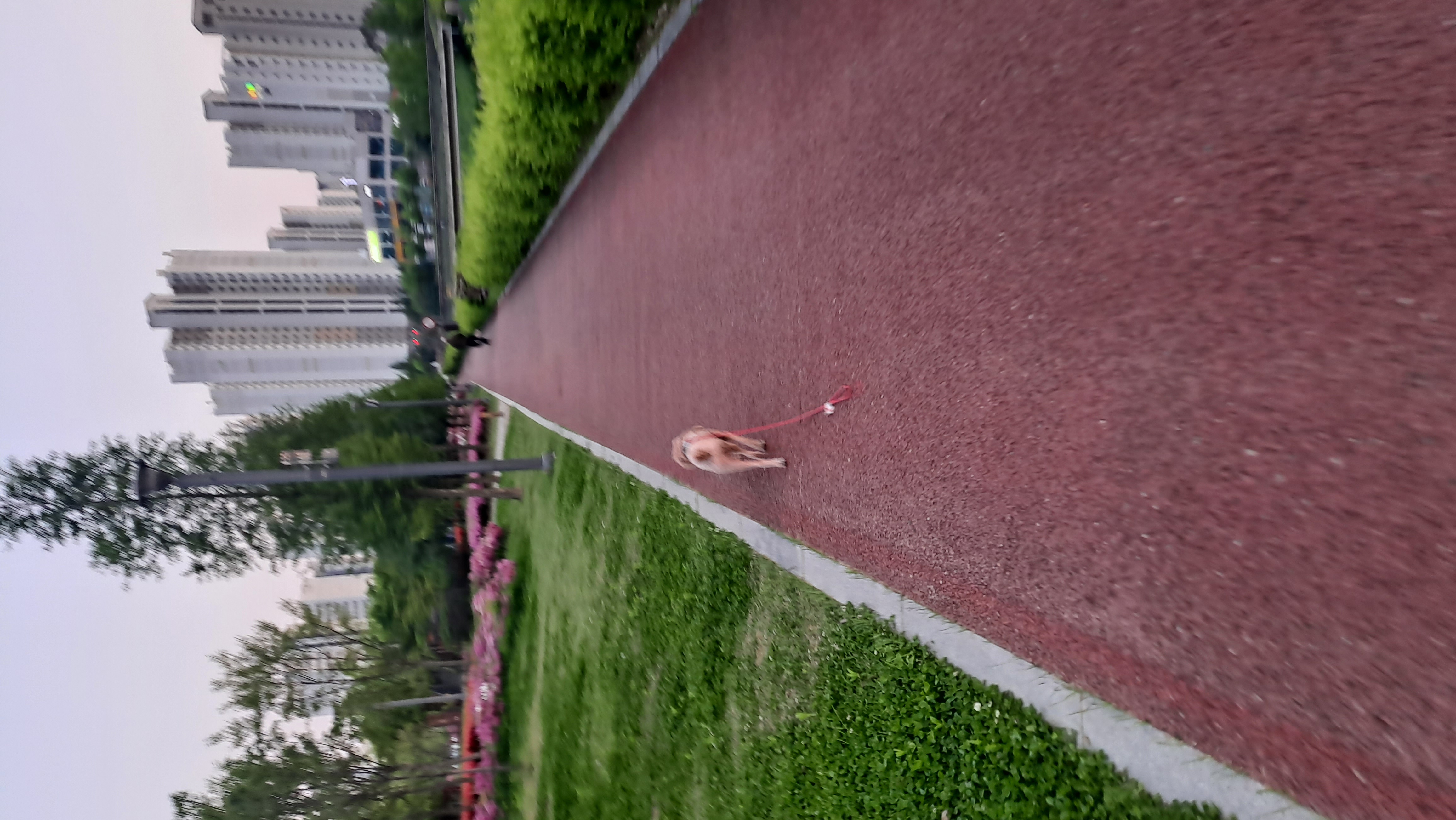 토토입양후기( 예전이름 승지옜던거같아요)