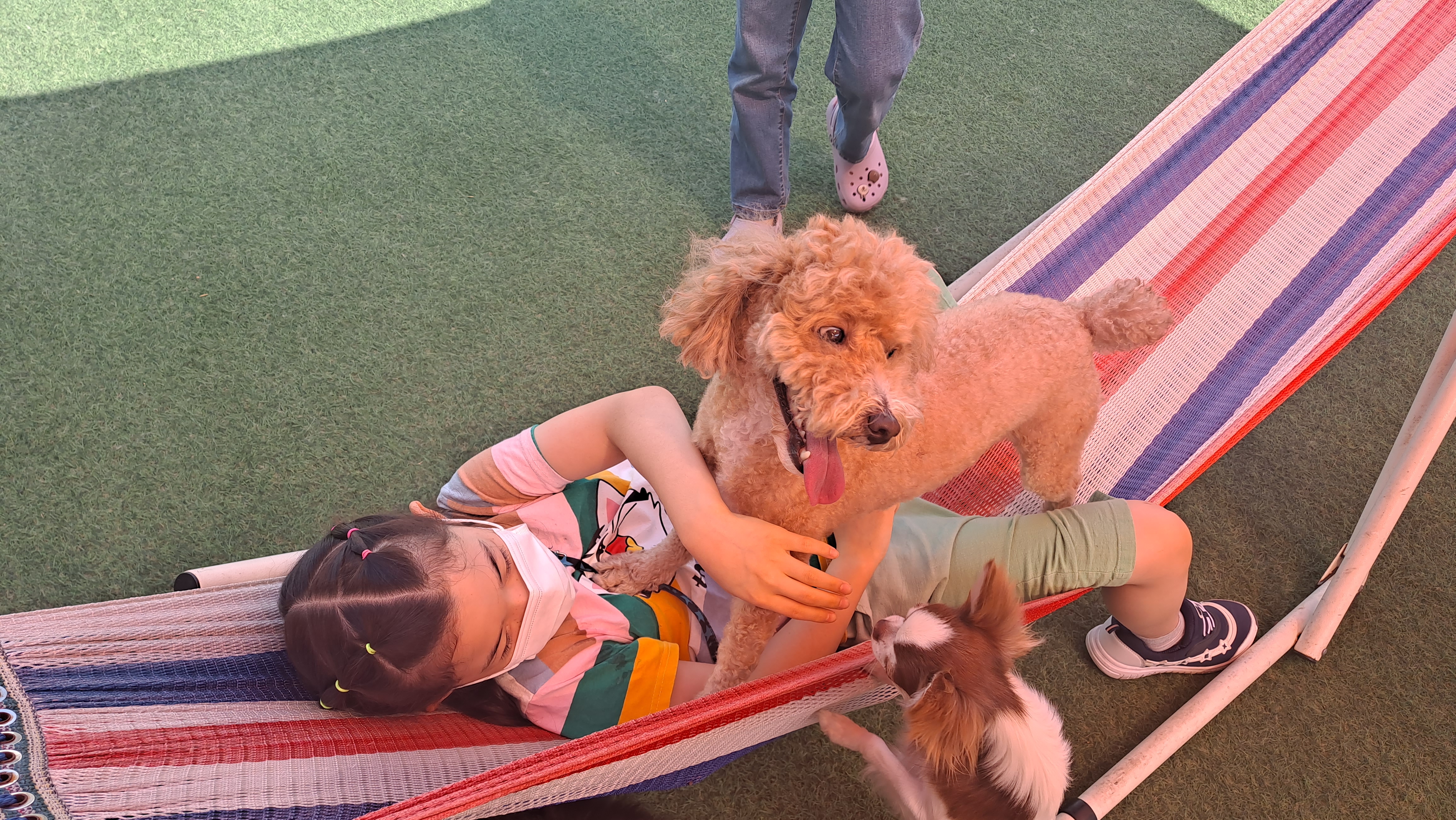 토토입양후기( 예전이름 승지옜던거같아요)