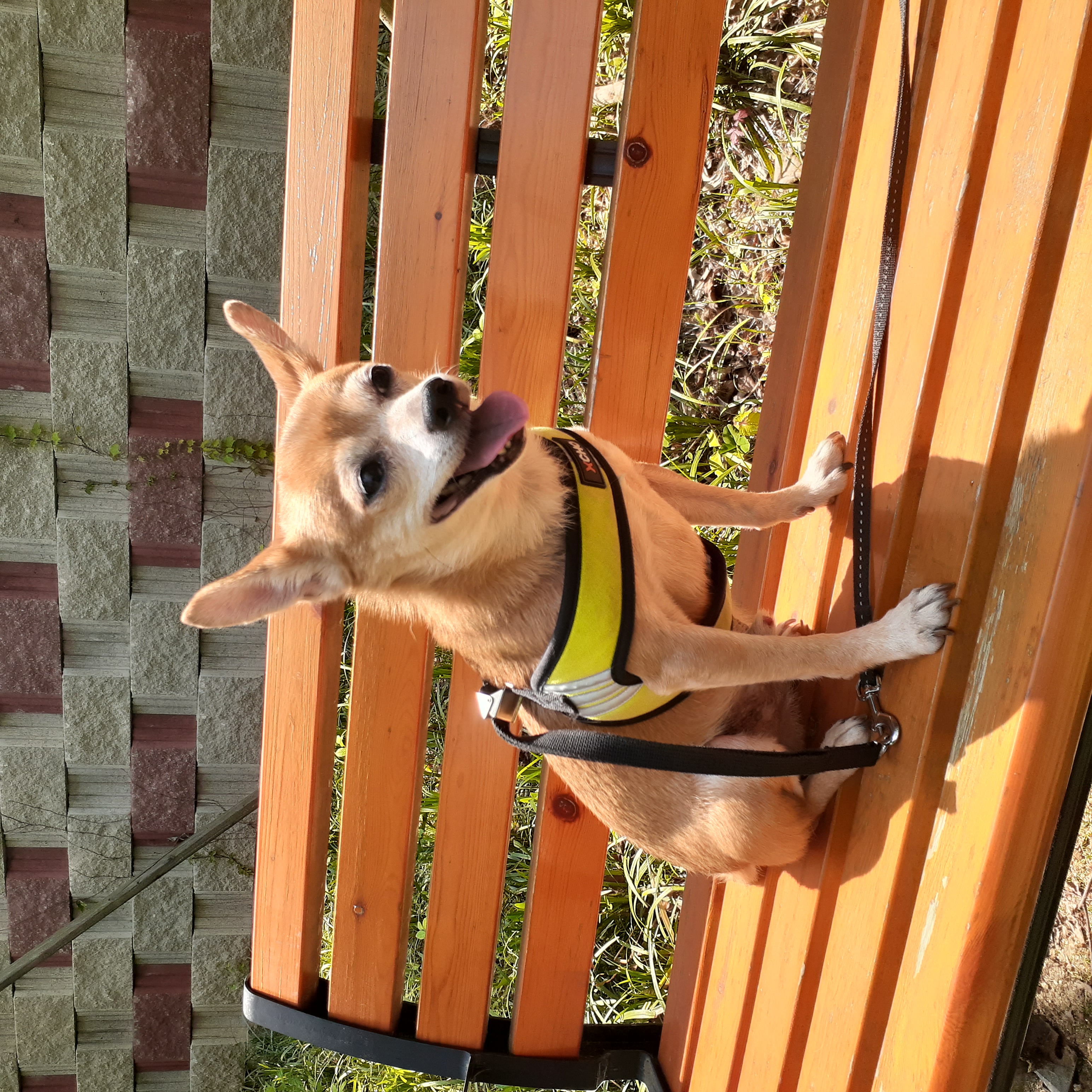 다람이 잘 지내고 있습니다.