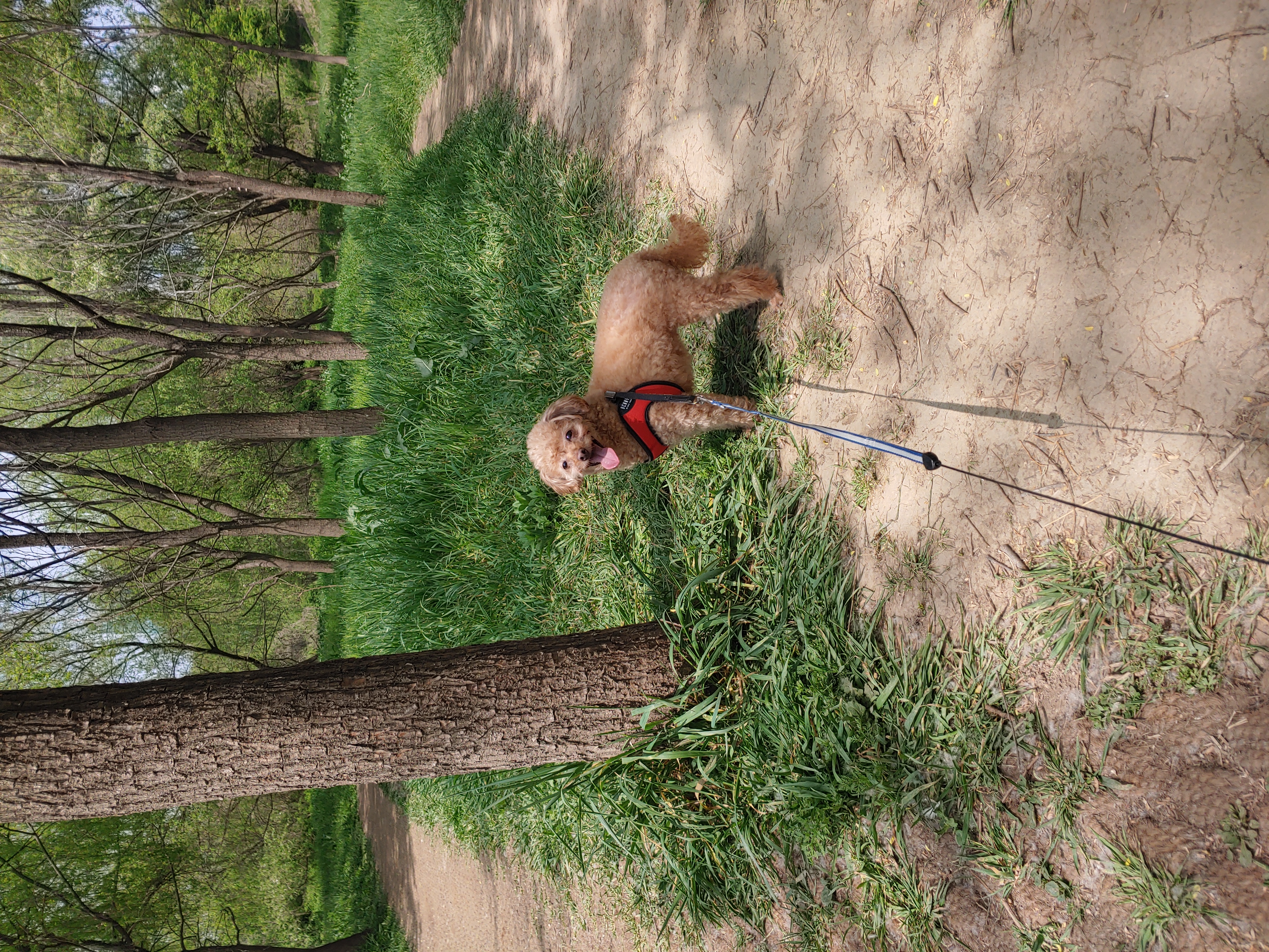곤지암 팔랑이~~(지금은 버디^^)