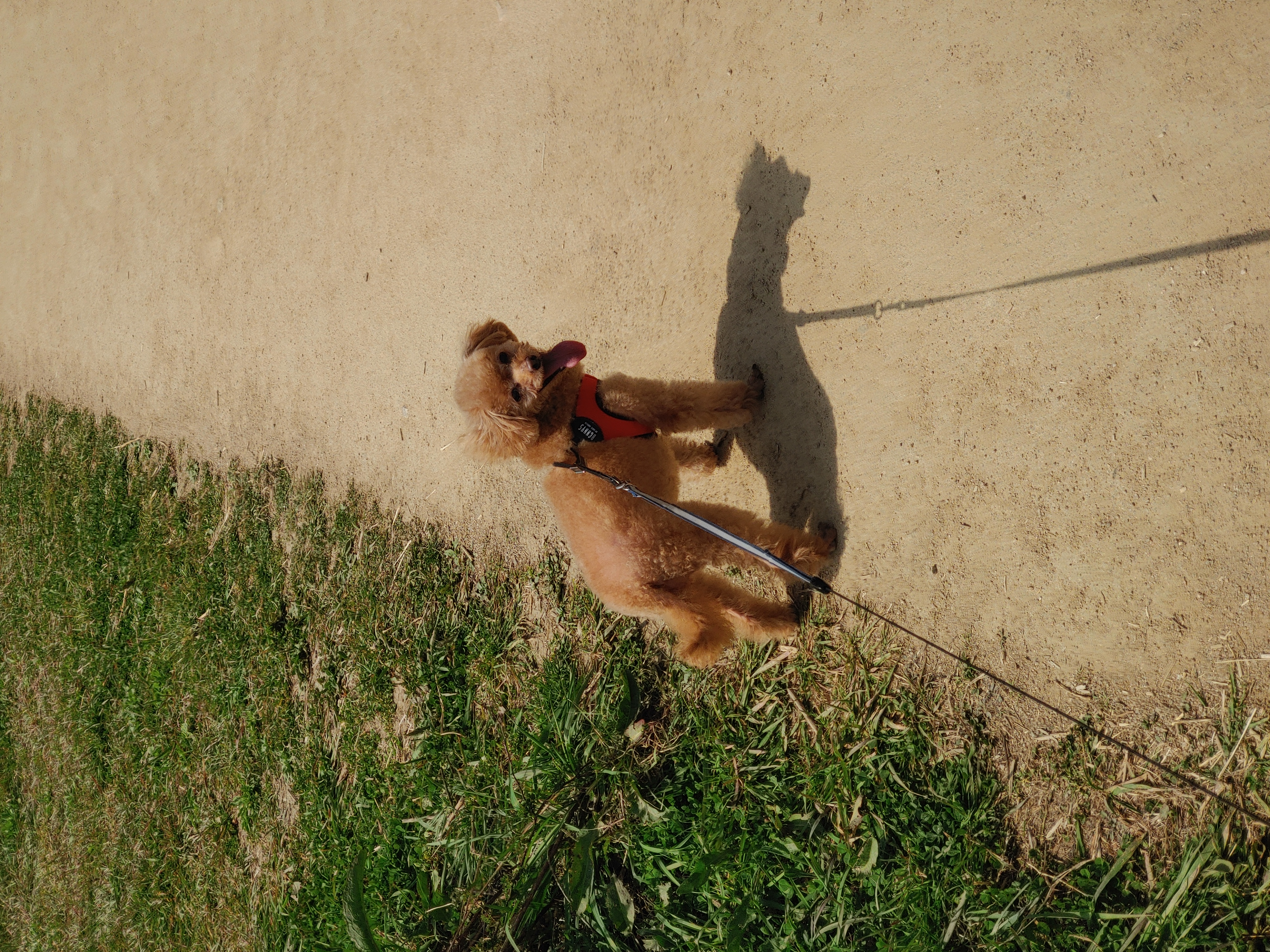 곤지암 팔랑이~~(지금은 버디^^)