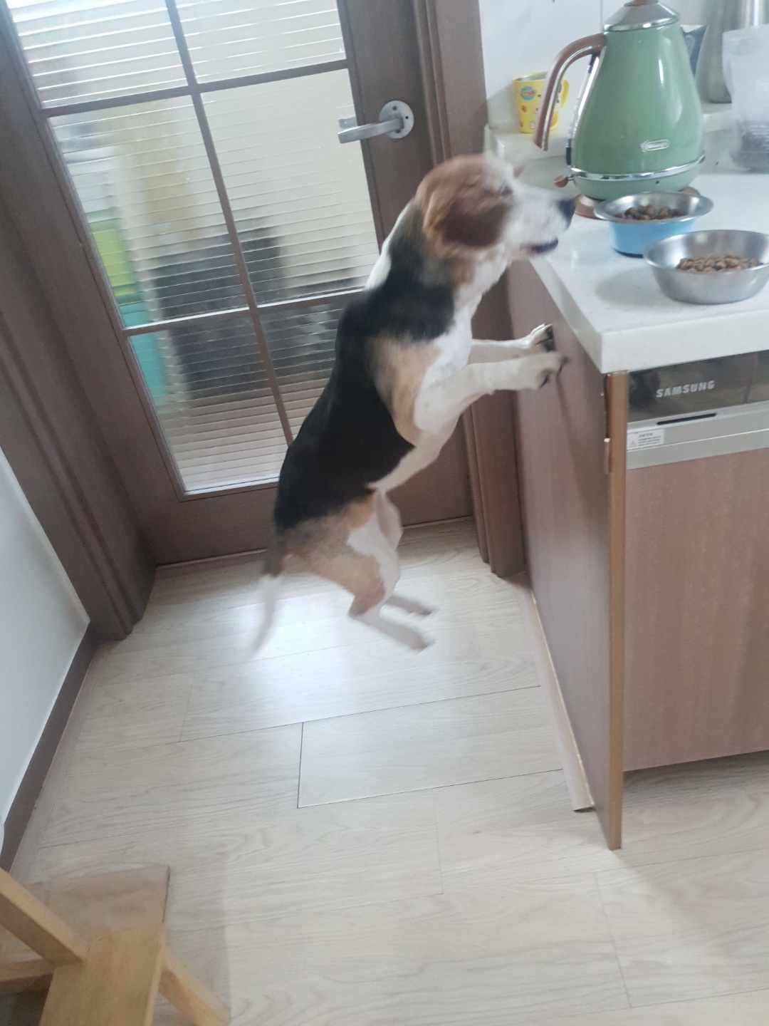 미키(루키아) 소식입니다.