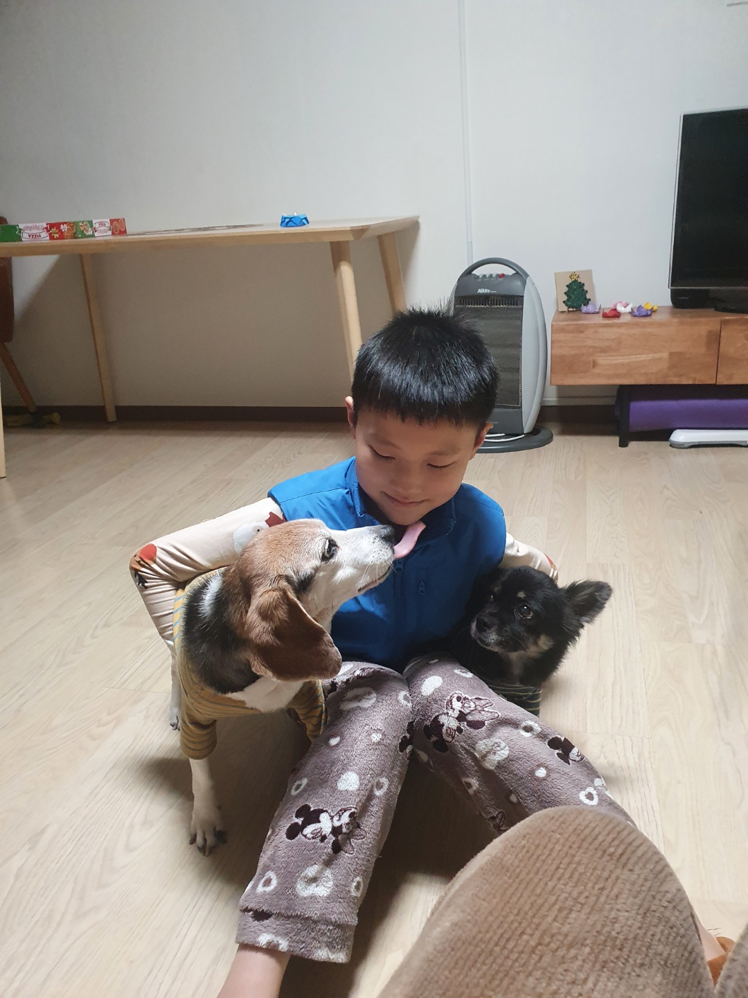 미키(루키아) 소식입니다.