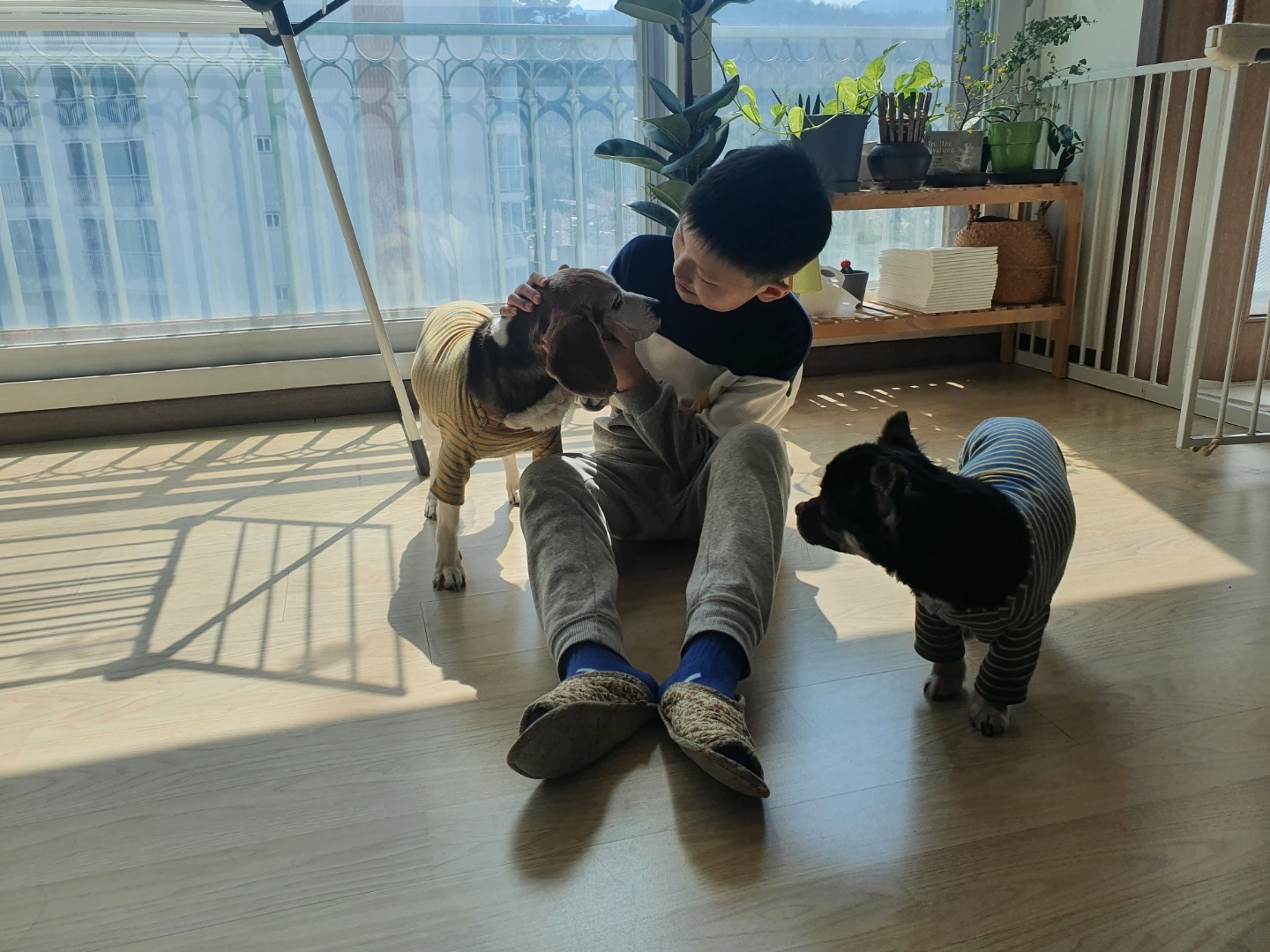 미키(루키아) 소식입니다.