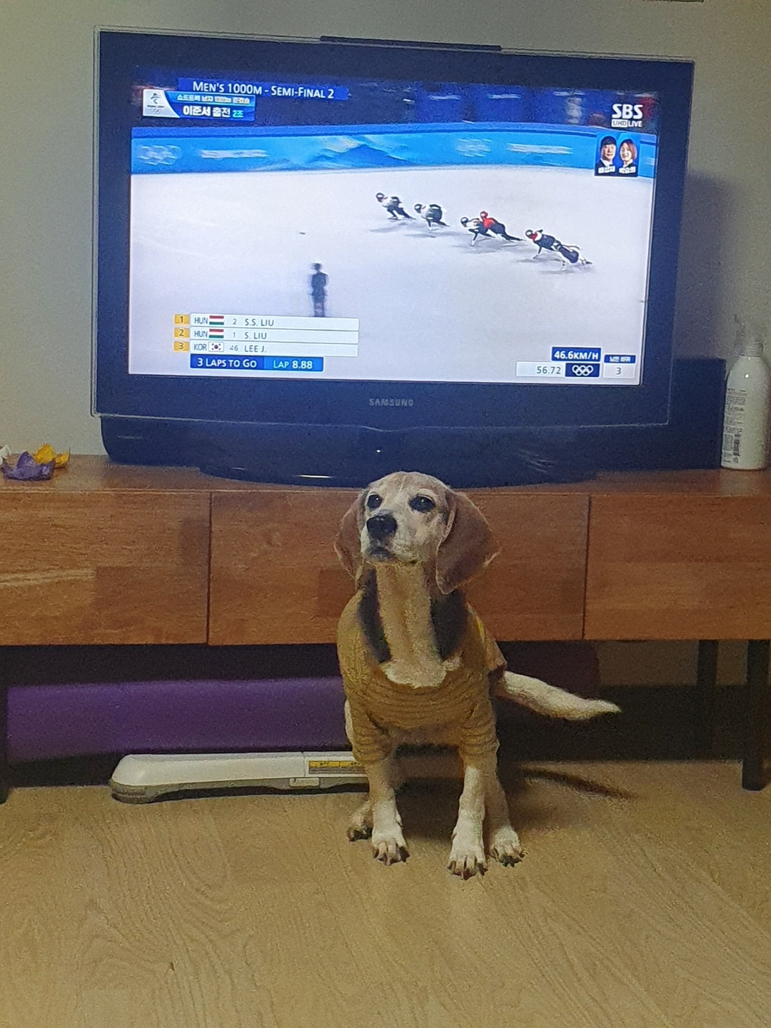 미키(루키아) 소식입니다.