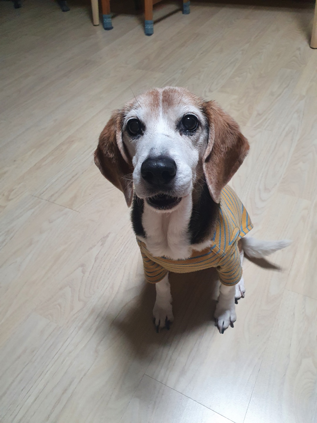 미키(루키아) 소식입니다.