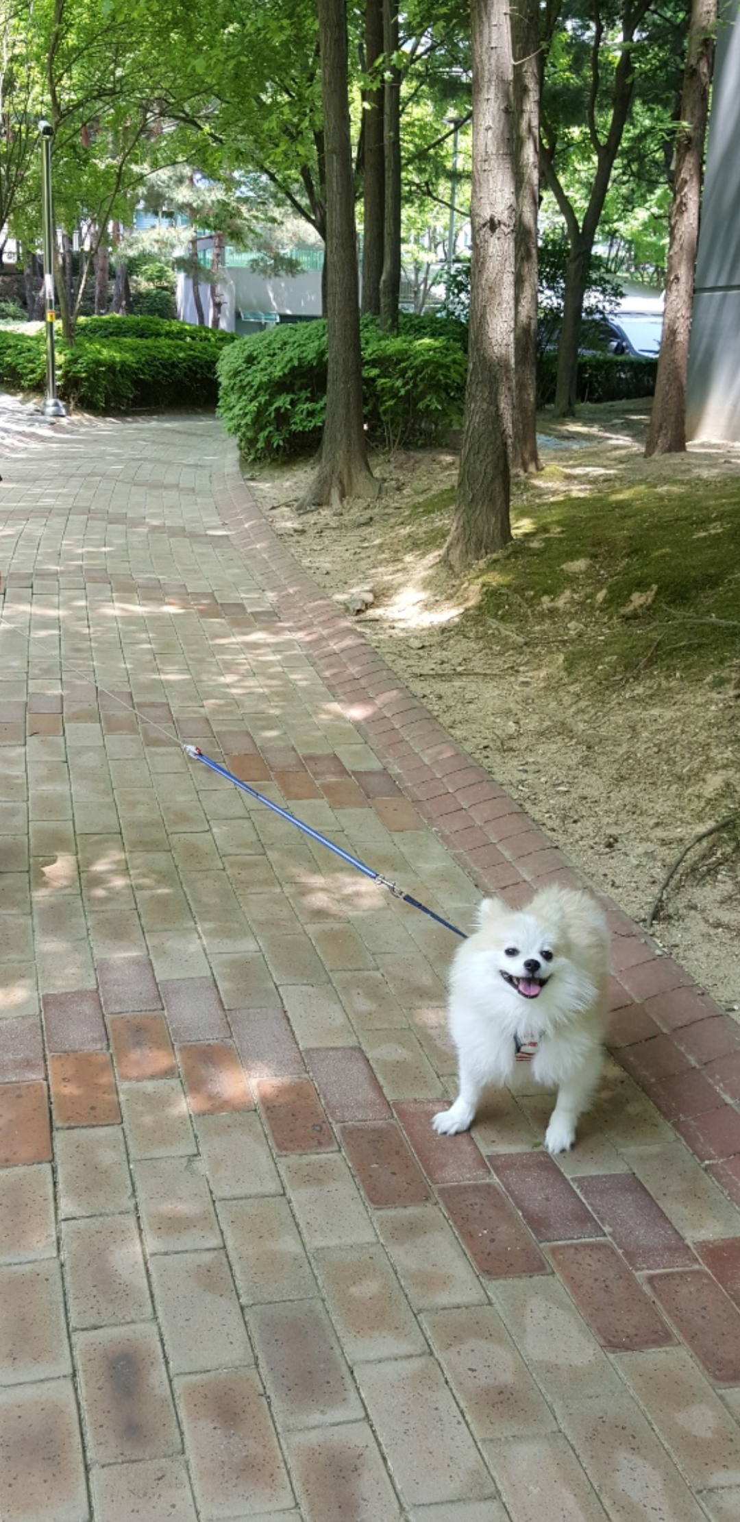 레오에요~( 곤지암금동이)