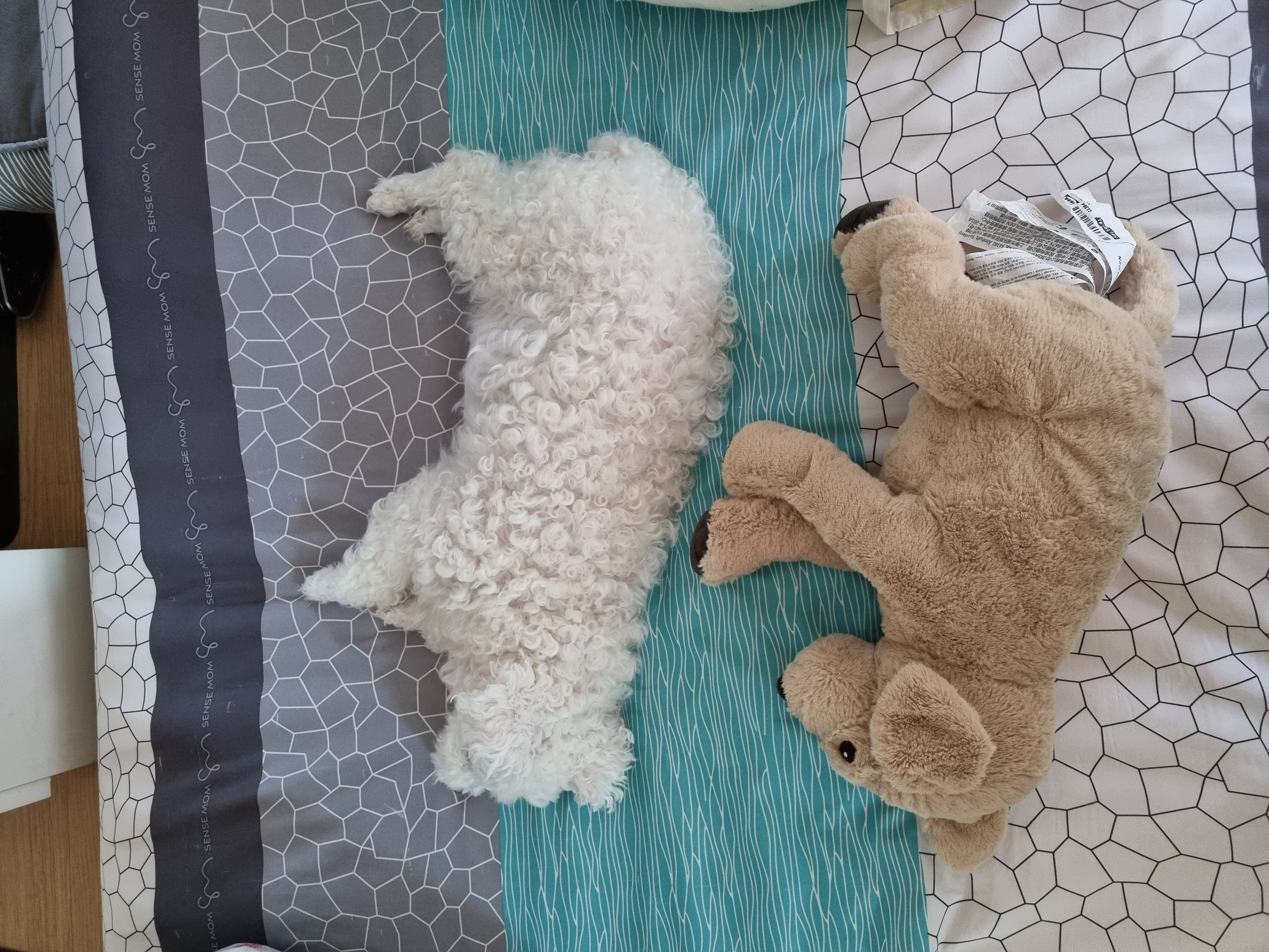 이곤이와 벌써 1년 ♡