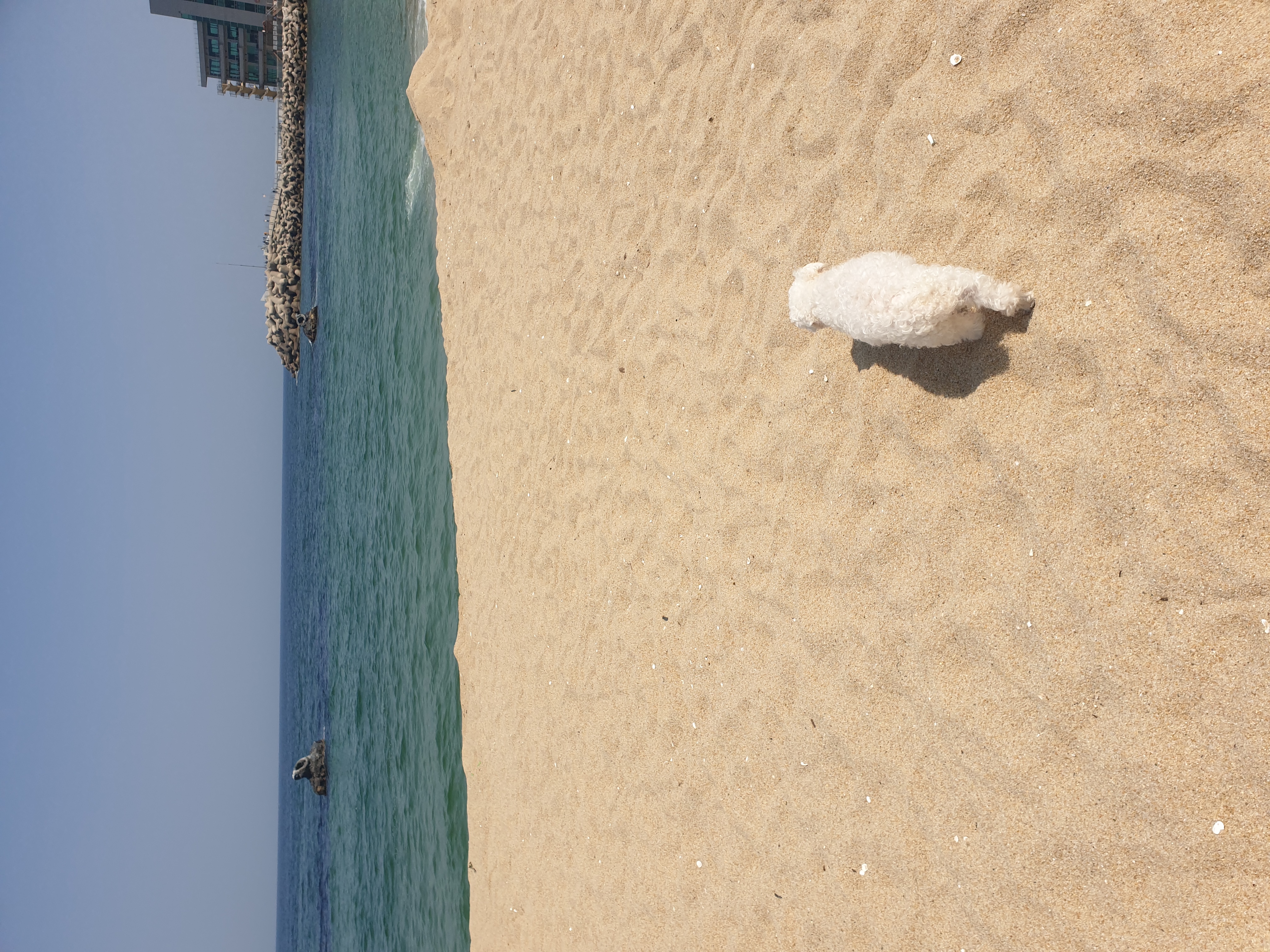 이곤이와 벌써 1년 ♡