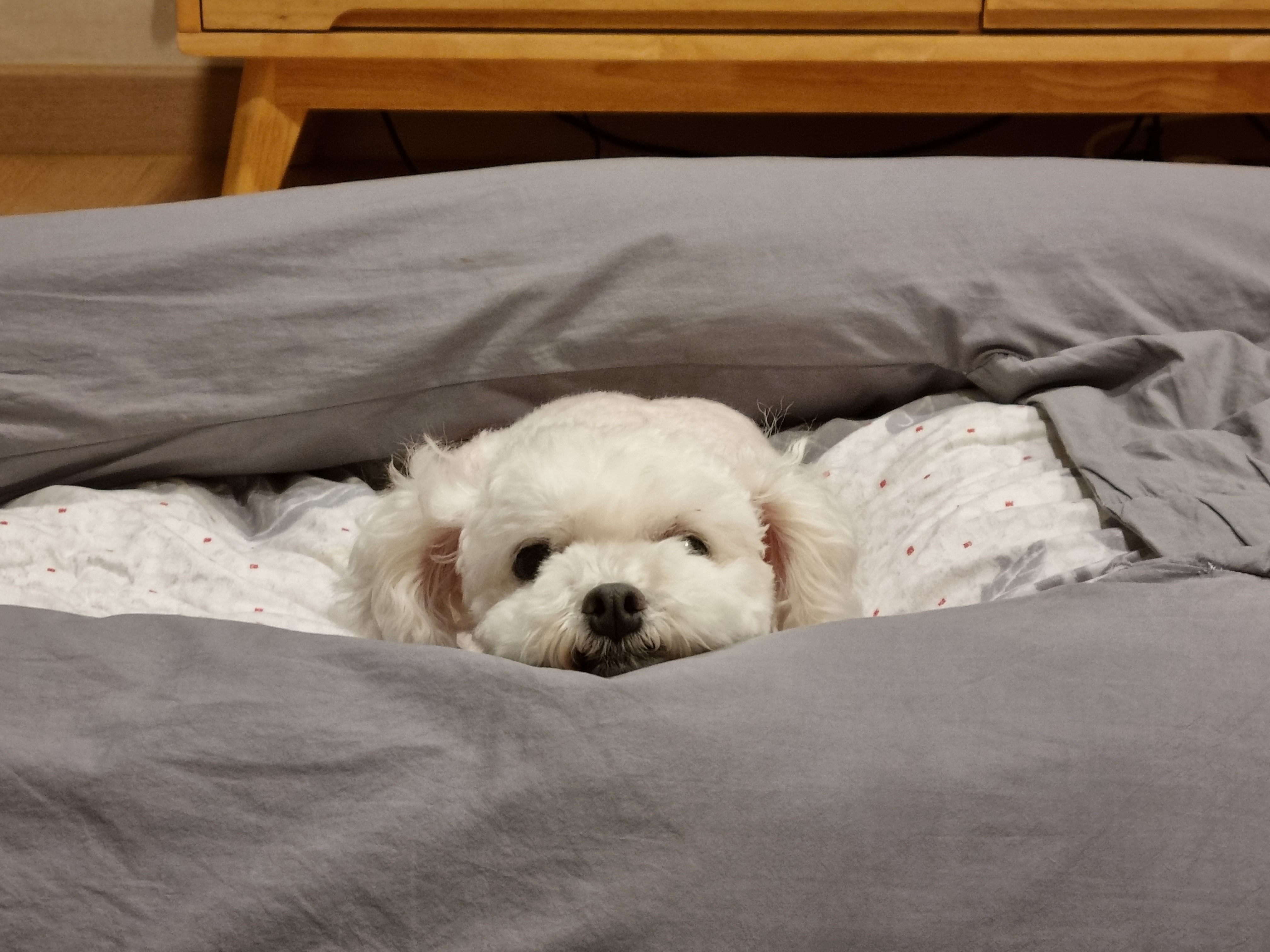 이곤이와 벌써 1년 ♡