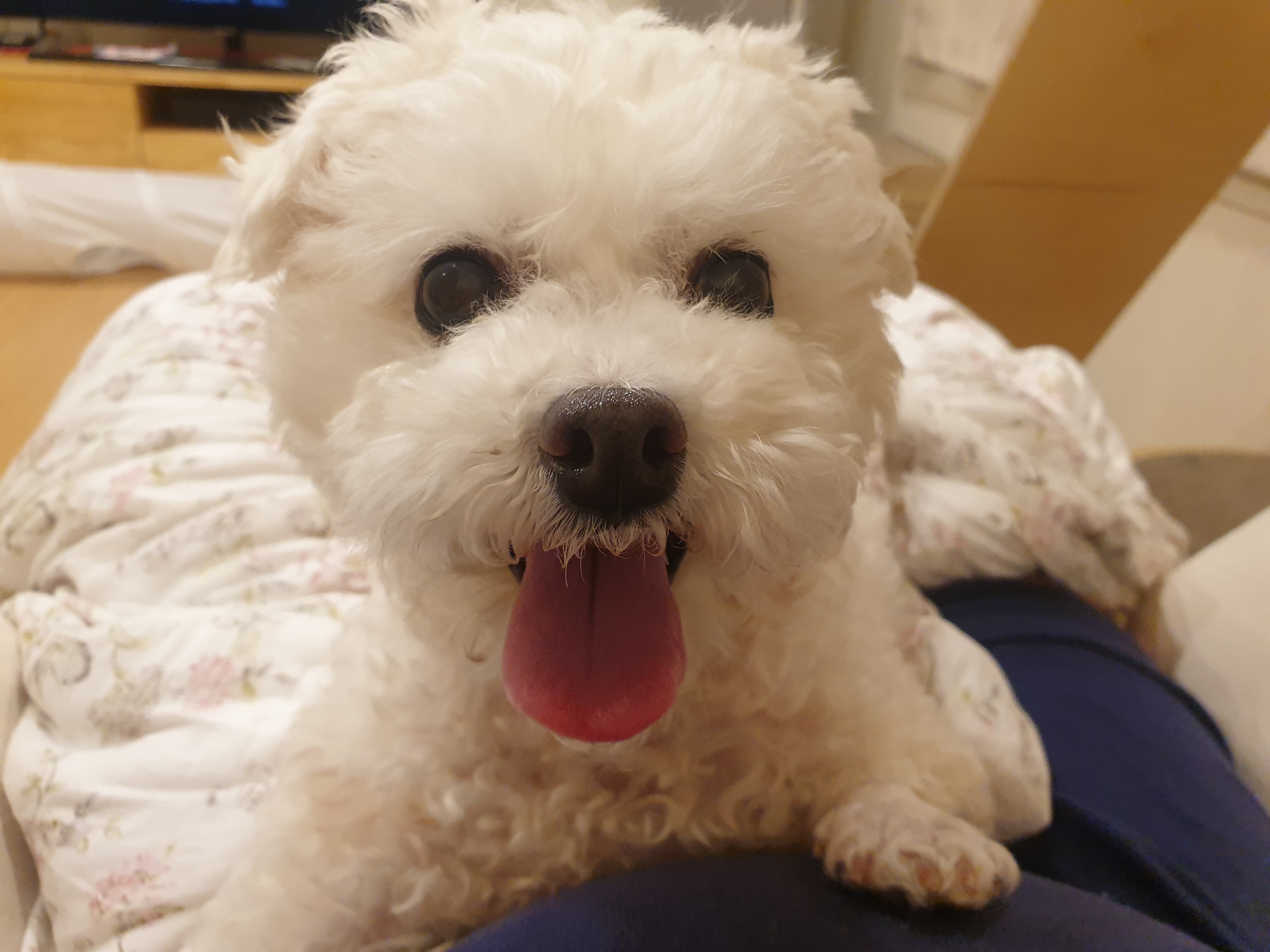 이곤이와 벌써 1년 ♡