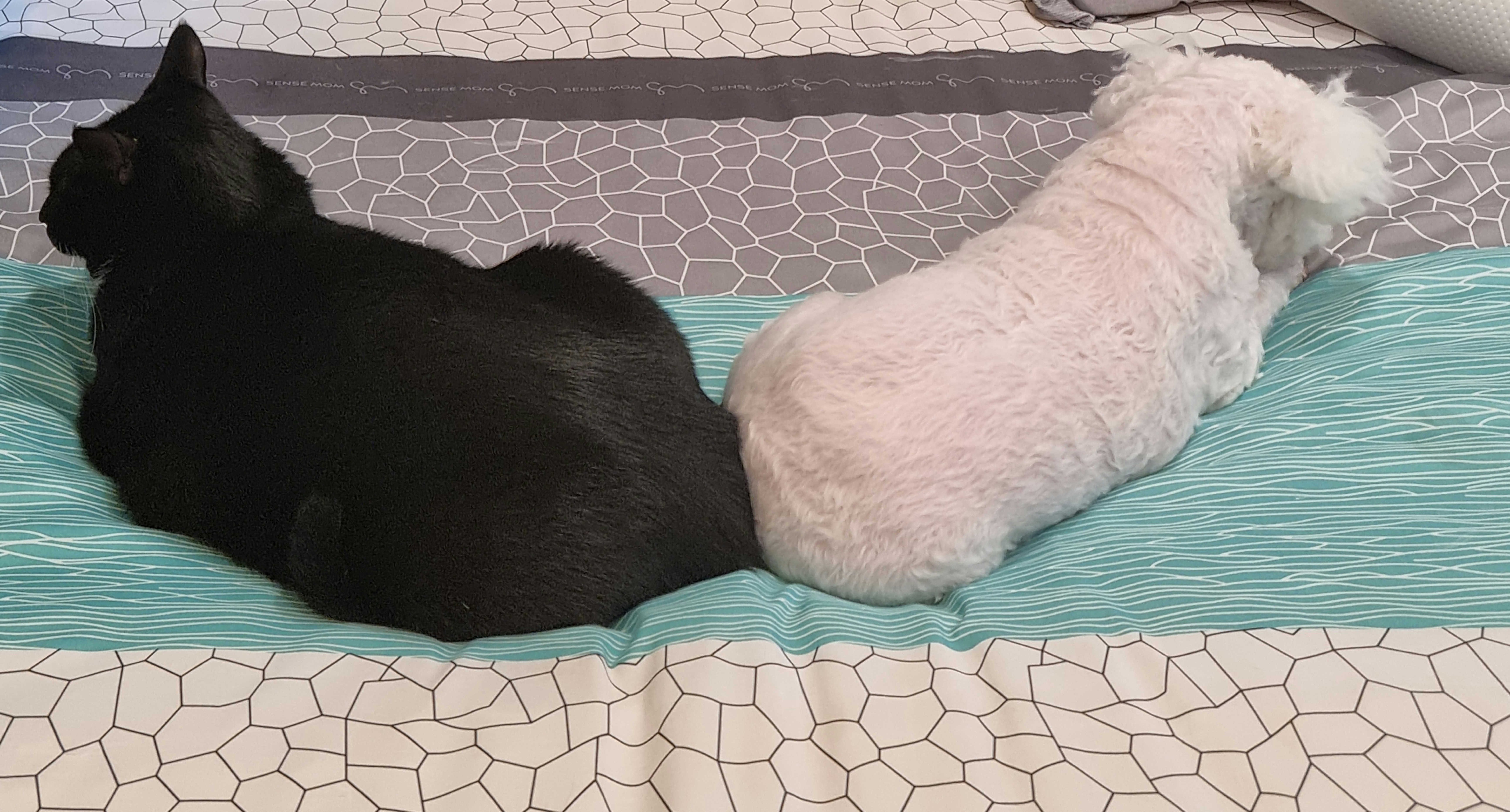 이곤이와 벌써 1년 ♡