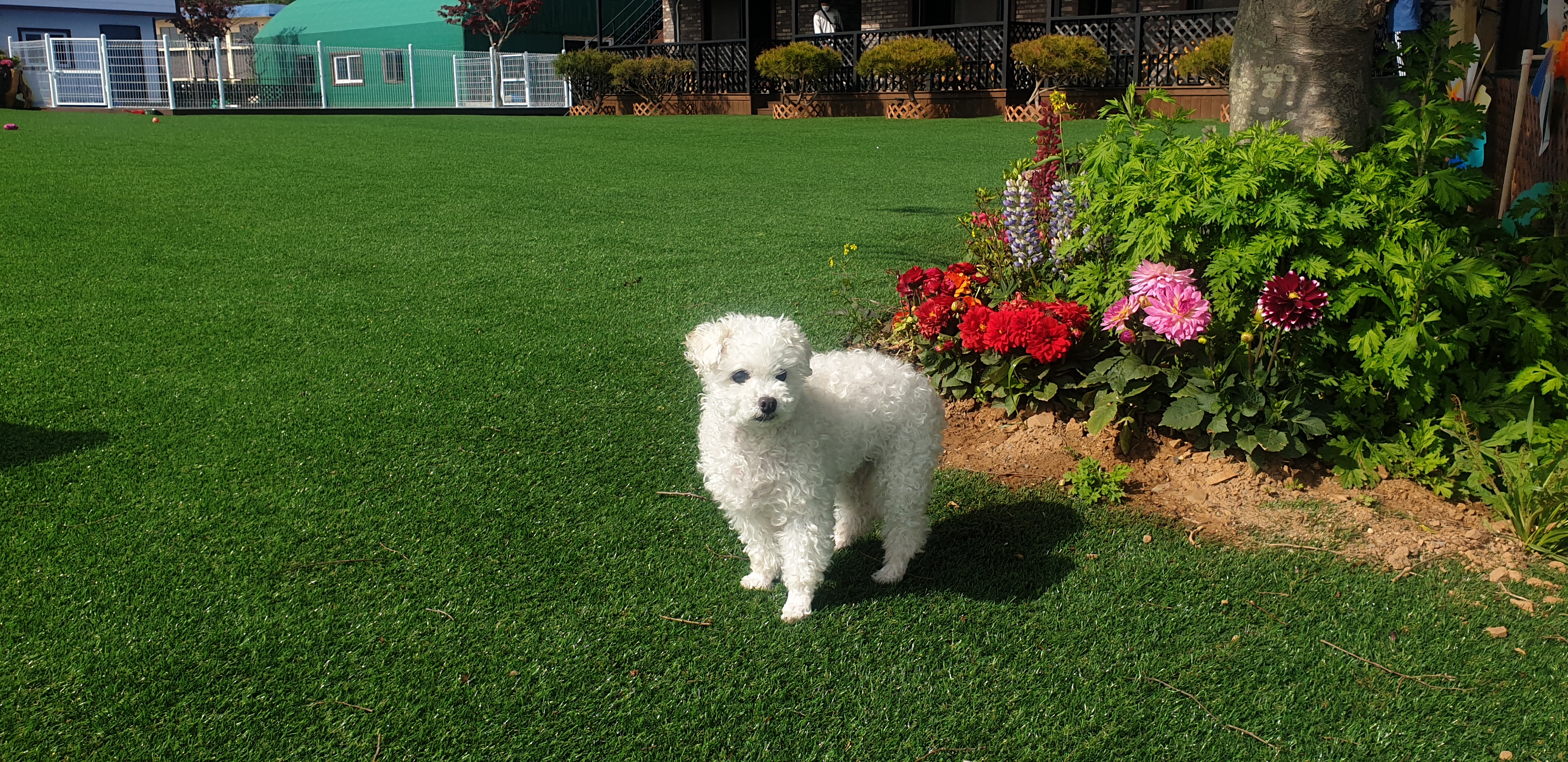 이곤이와 벌써 1년 ♡