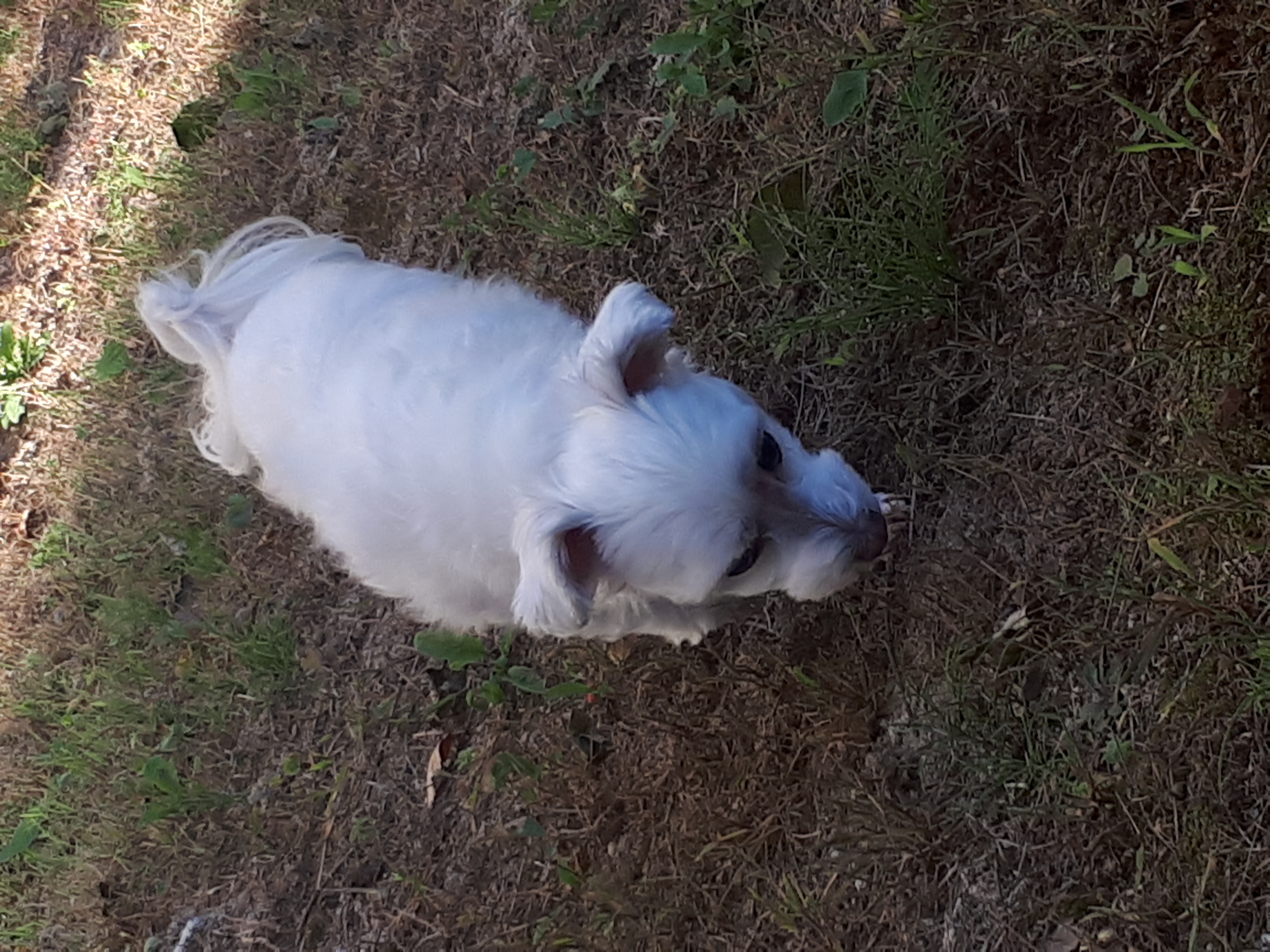 돌돌이와 함께~