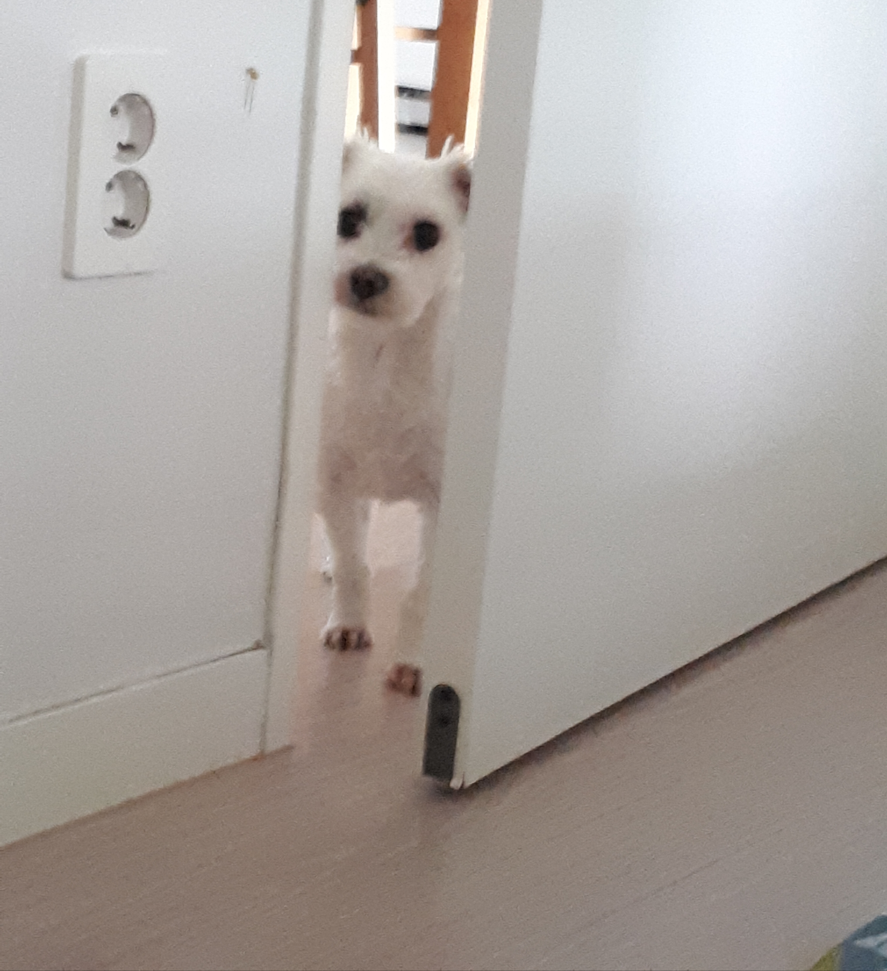 돌돌이와 함께~