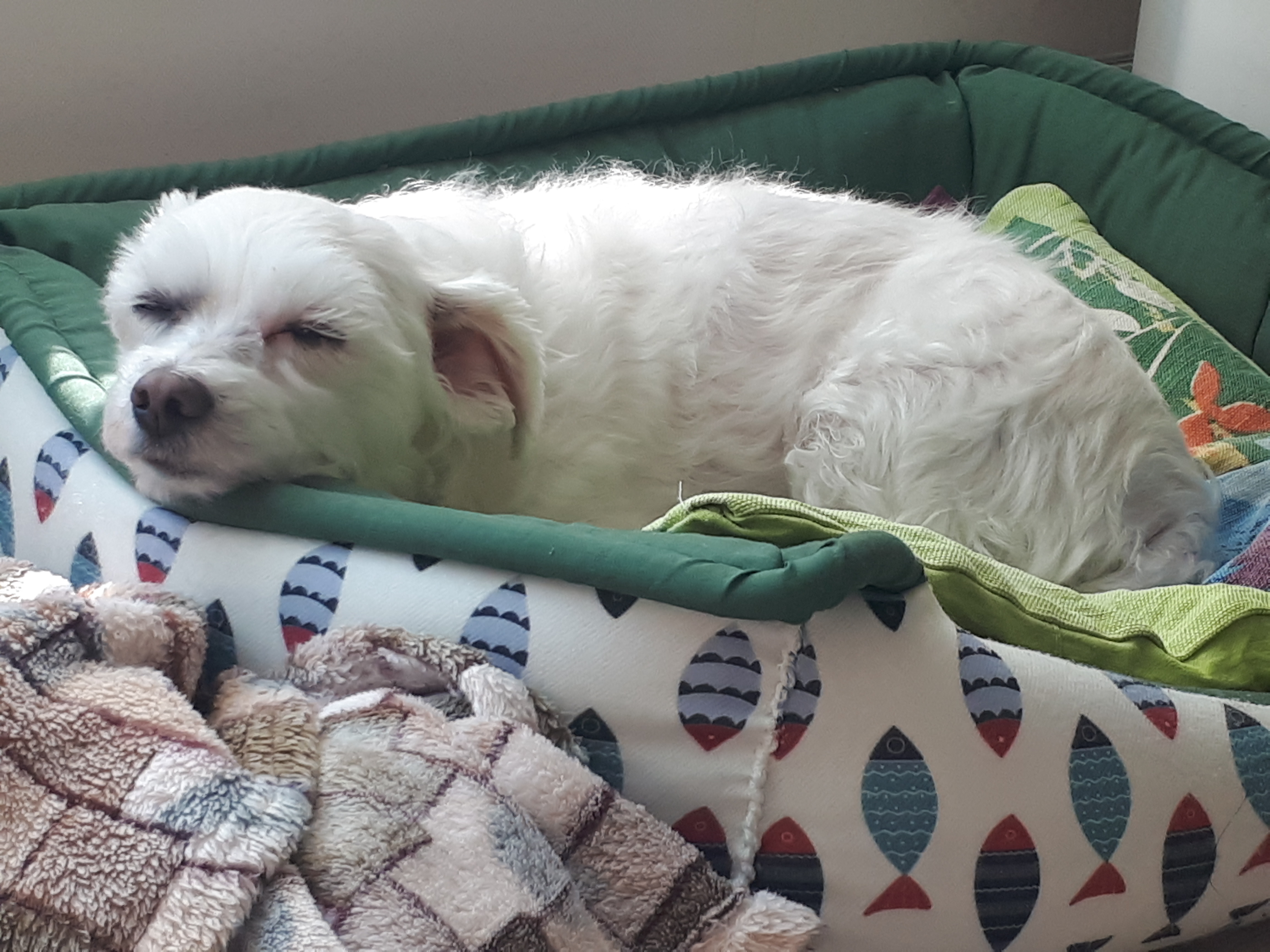 돌돌이와 함께~