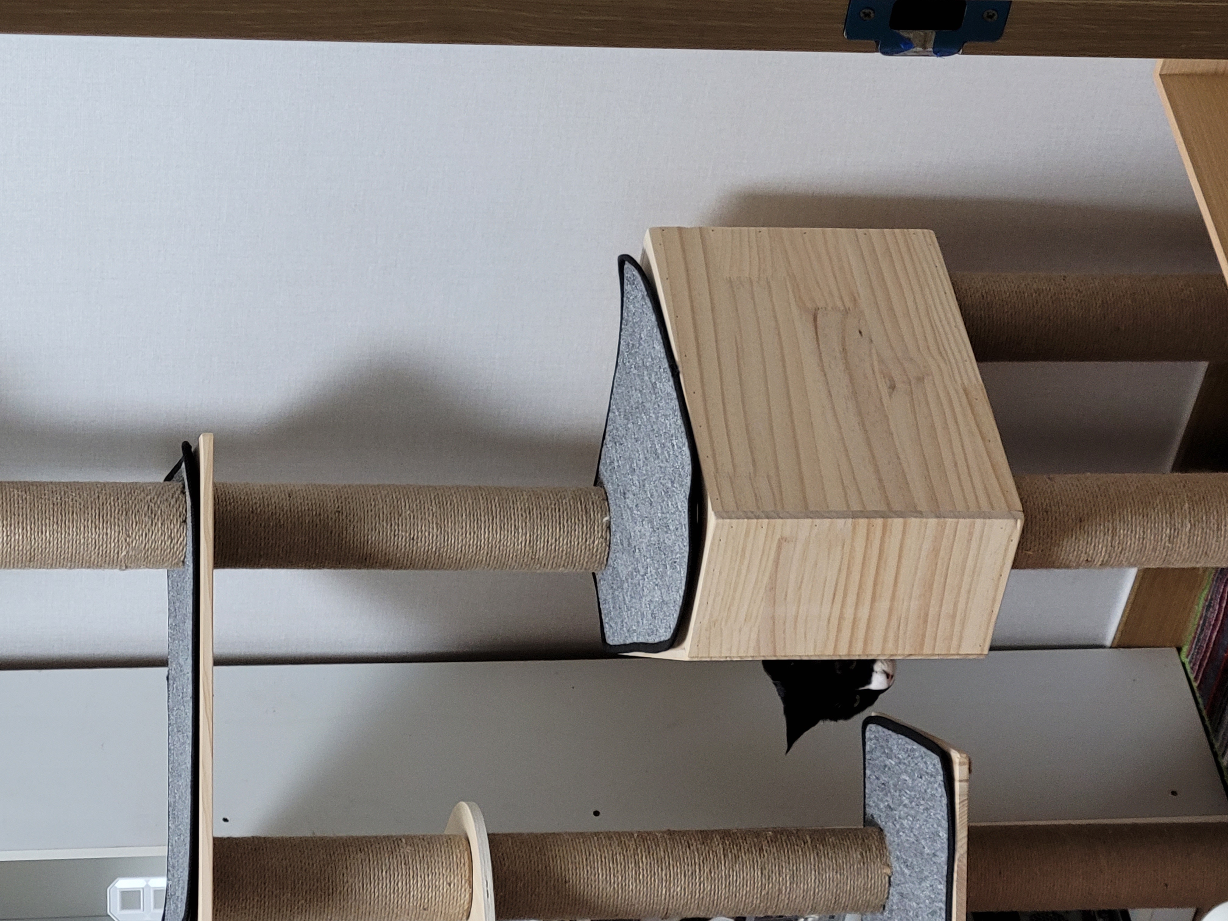 이루~ 지금은 레오!! 잘지내는거 맞죠?