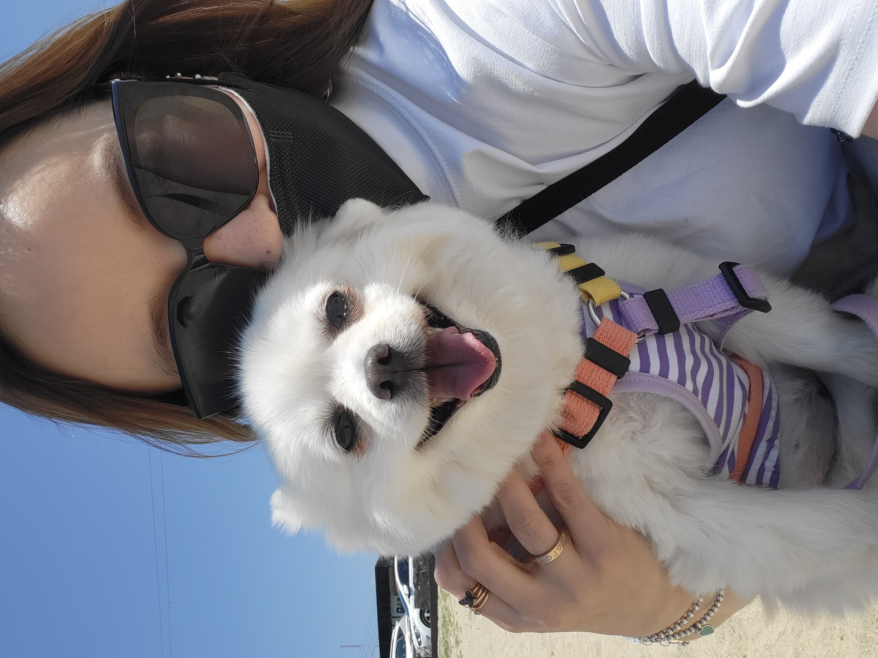 김가루 1년 되었어요~♡(곤지암오잉이)