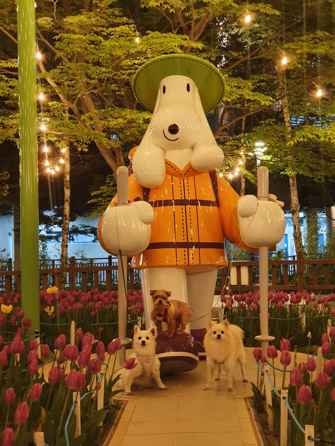 곤지암 몽쉘이(땅콩)이 1년 소식 전하러왔어요~!