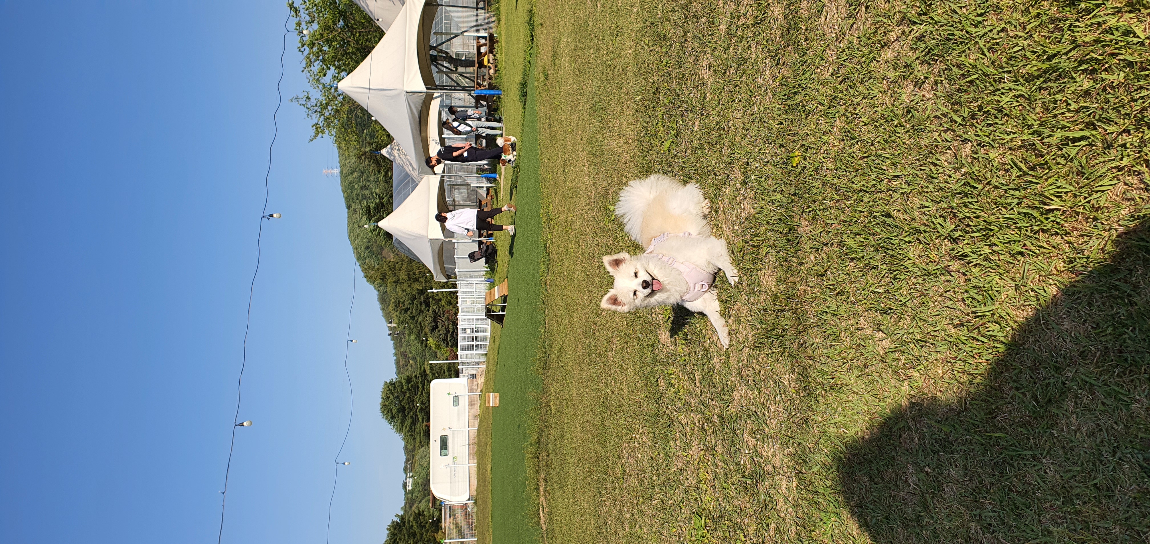 곤지암 몽쉘이(땅콩)이 1년 소식 전하러왔어요~!