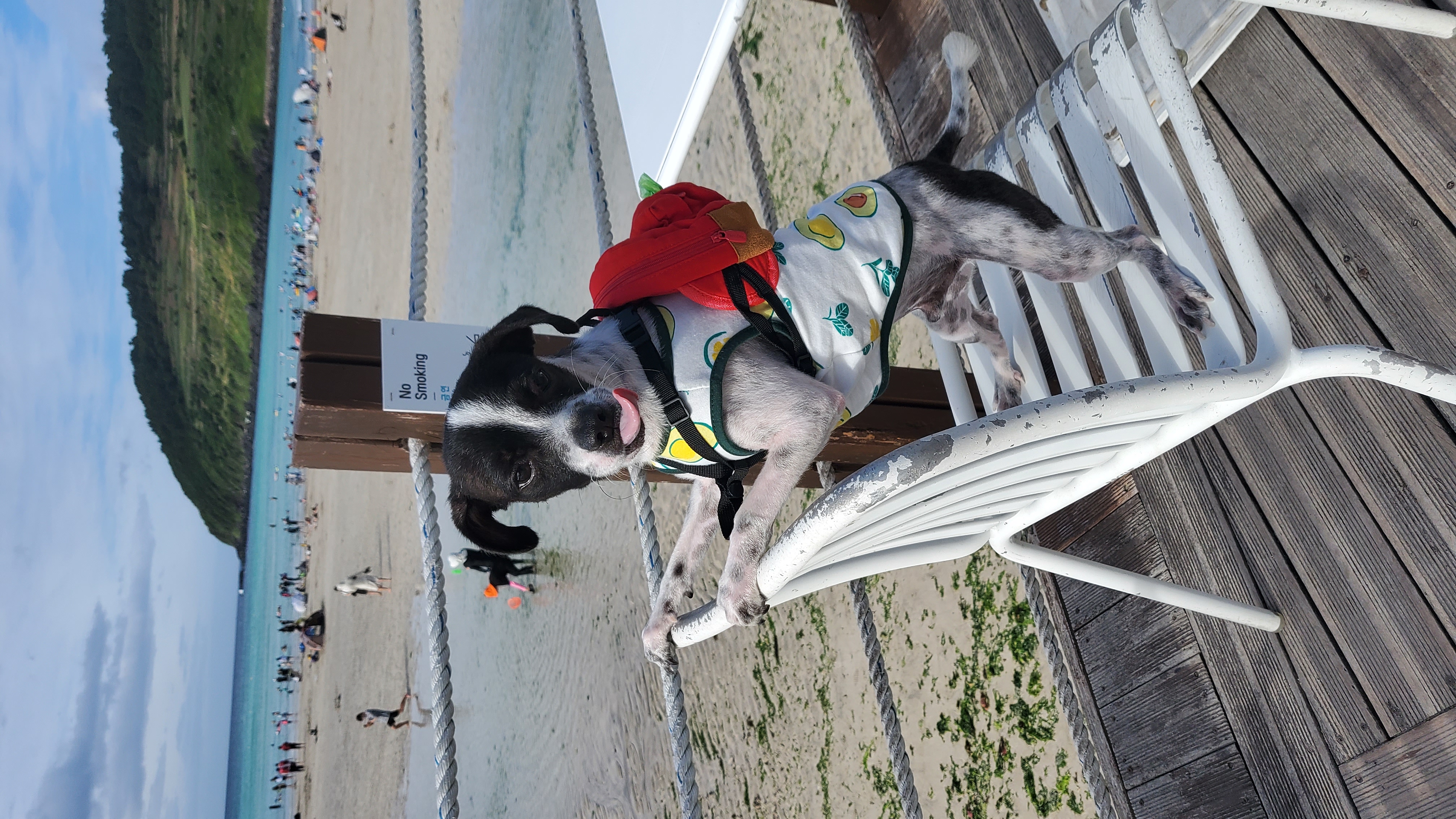 마루와 제주여행