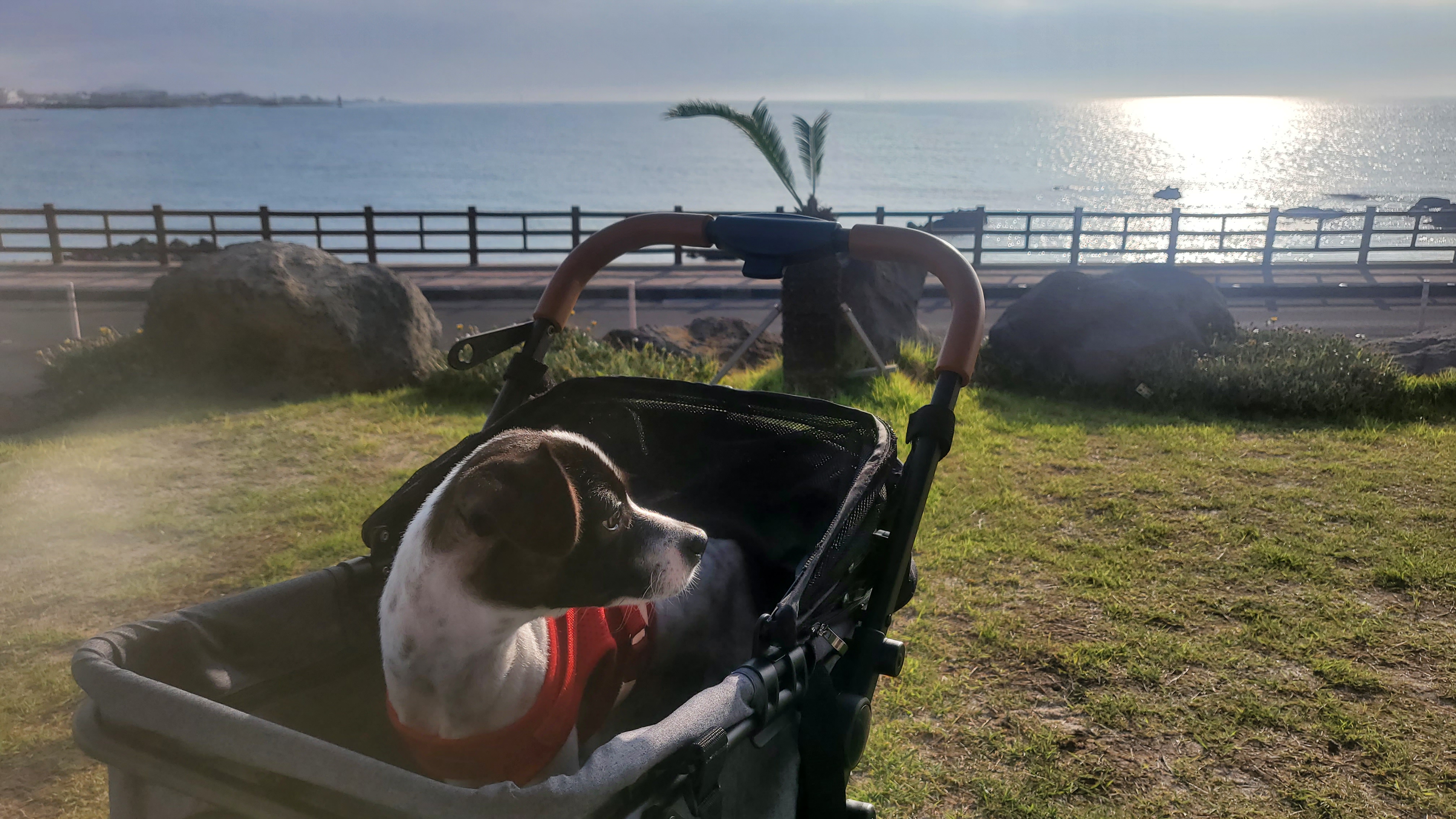 마루와 제주여행