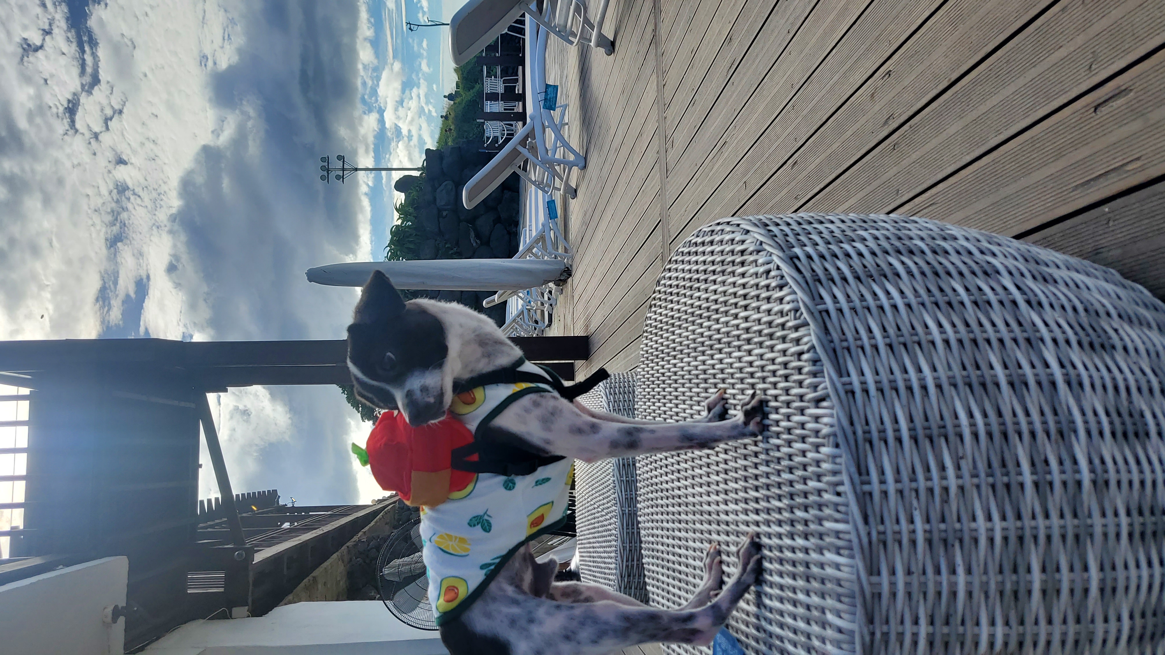 마루와 제주여행