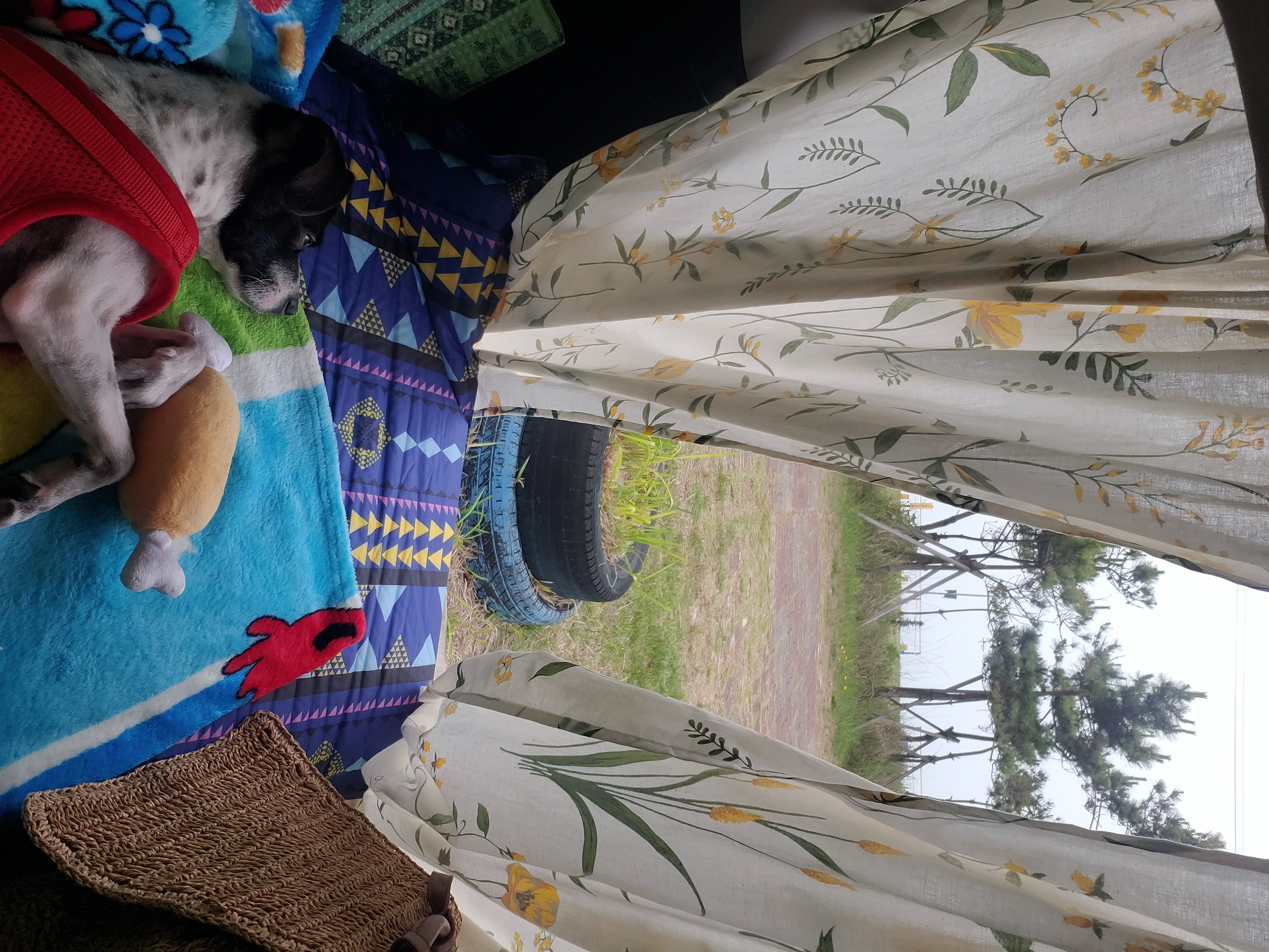 마루와 제주여행