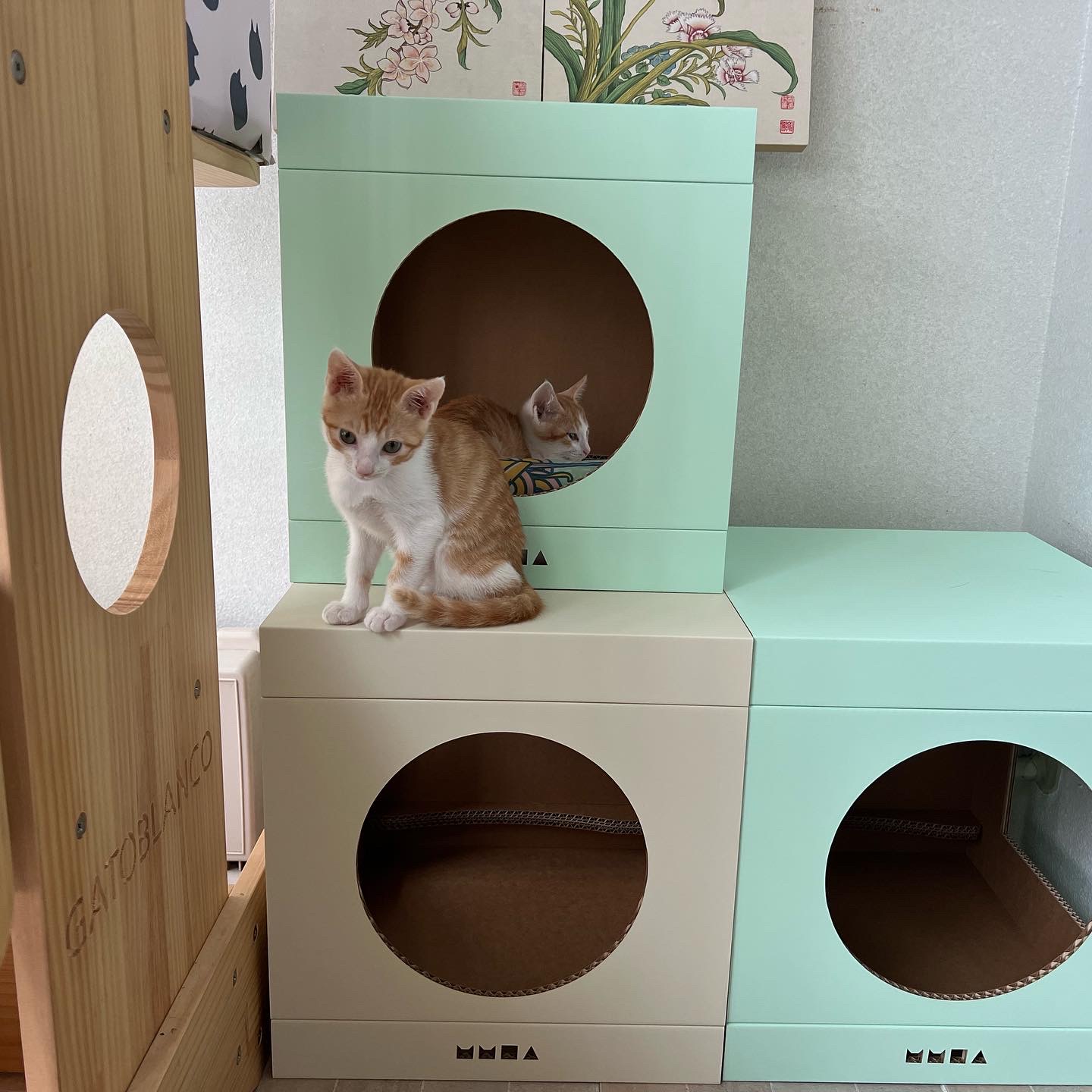 지구 뿌시러온 바니&차니 2주차