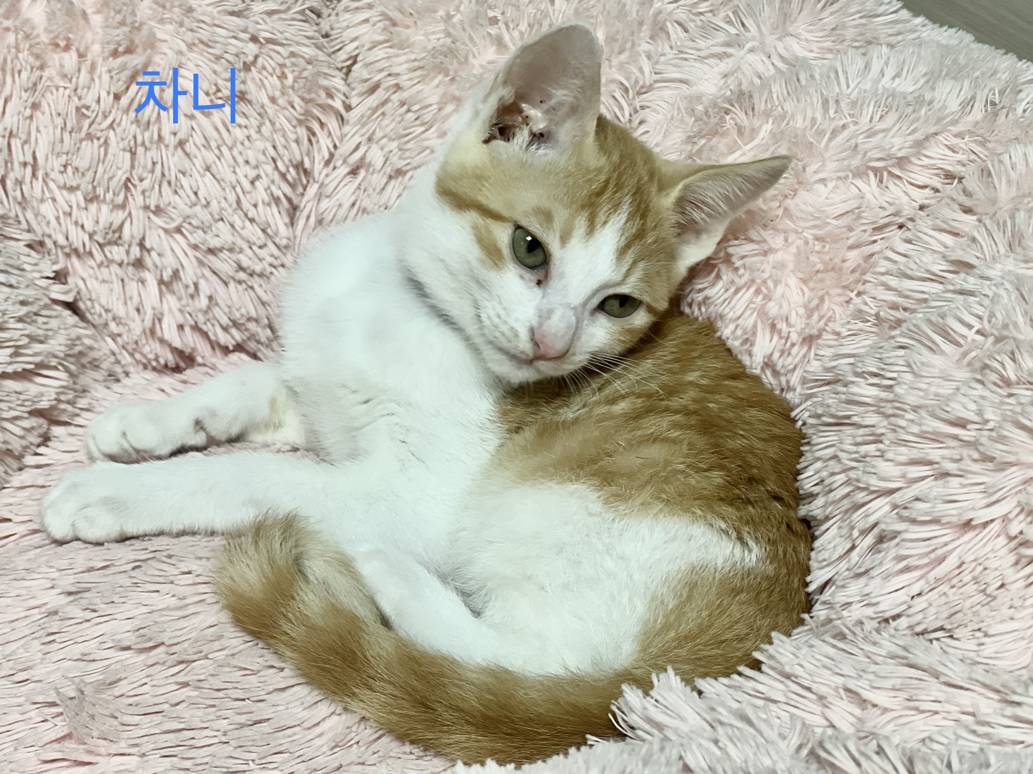 지구 뿌시러온 바니&차니 2주차