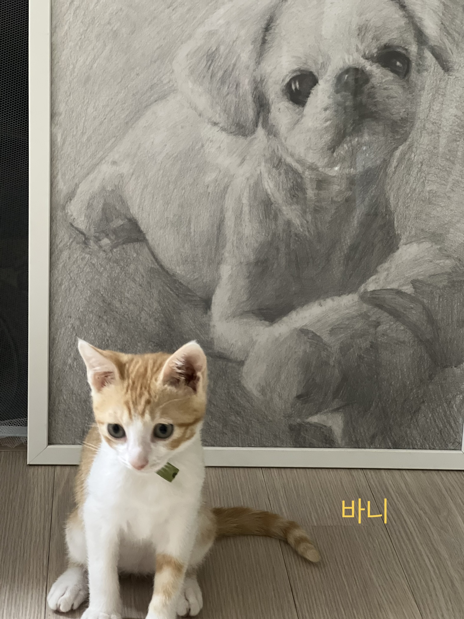 지구 뿌시러온 바니&차니 2주차